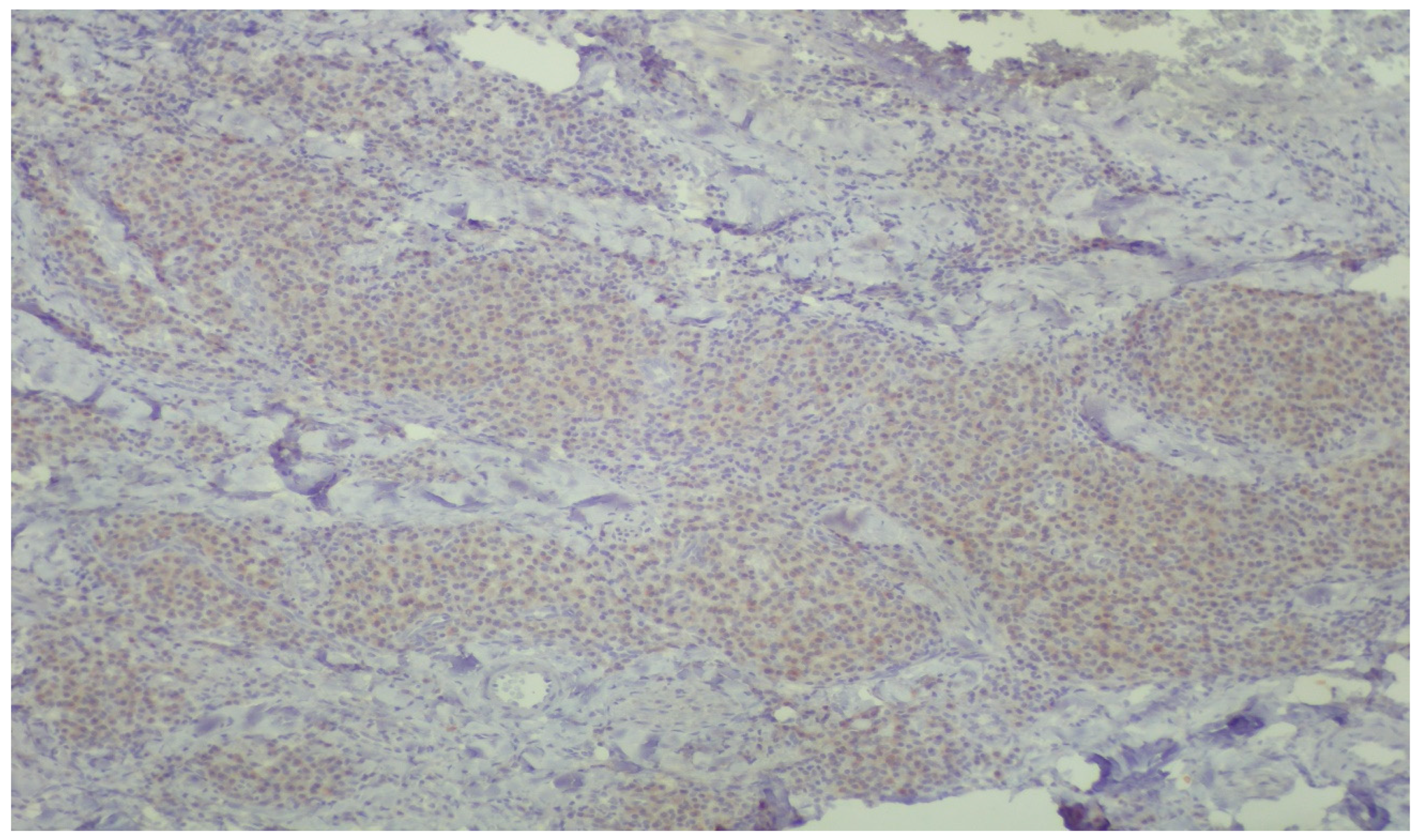 Dentistry 13 00328 g005