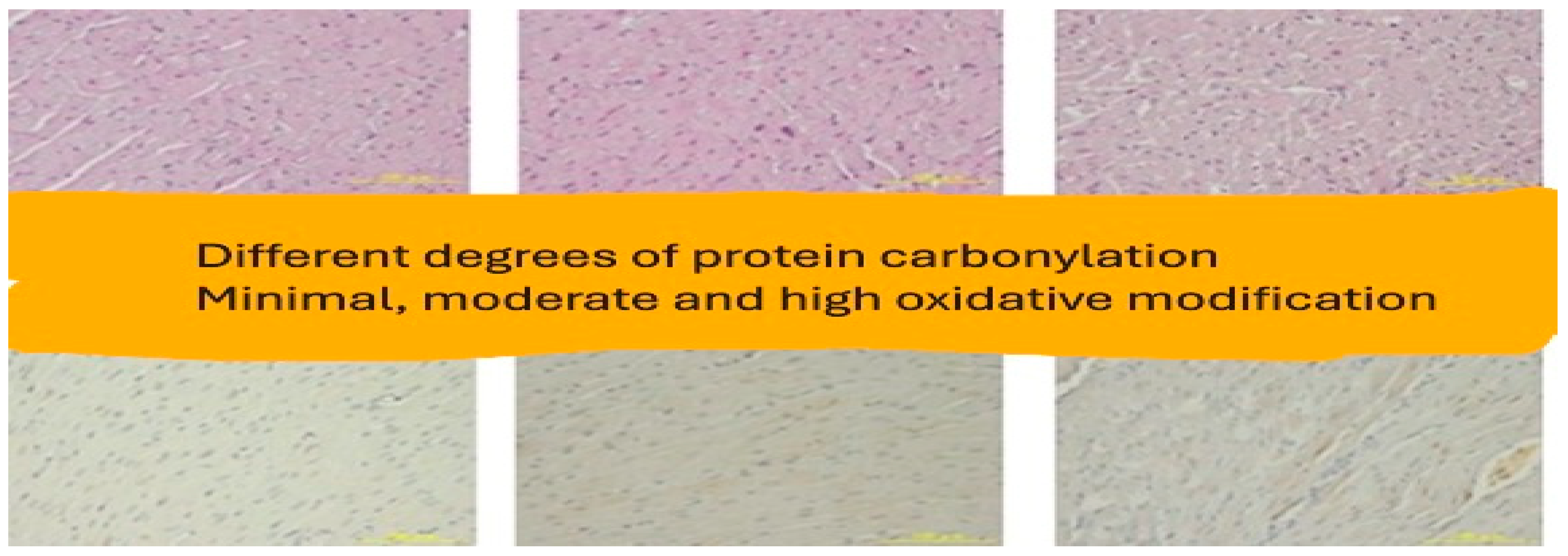 Dentistry 13 00328 g009