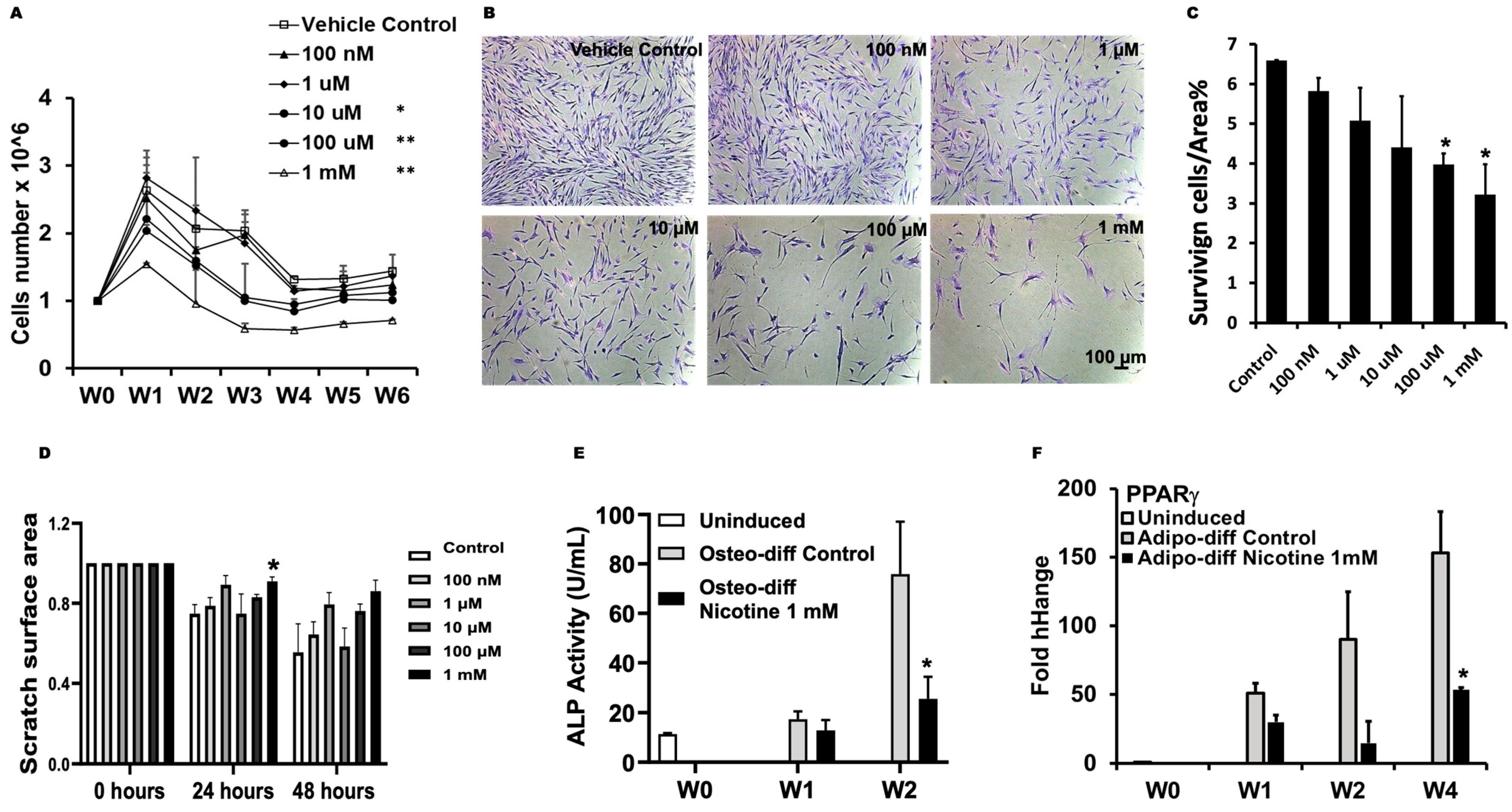 Dentistry 13 00338 g001
