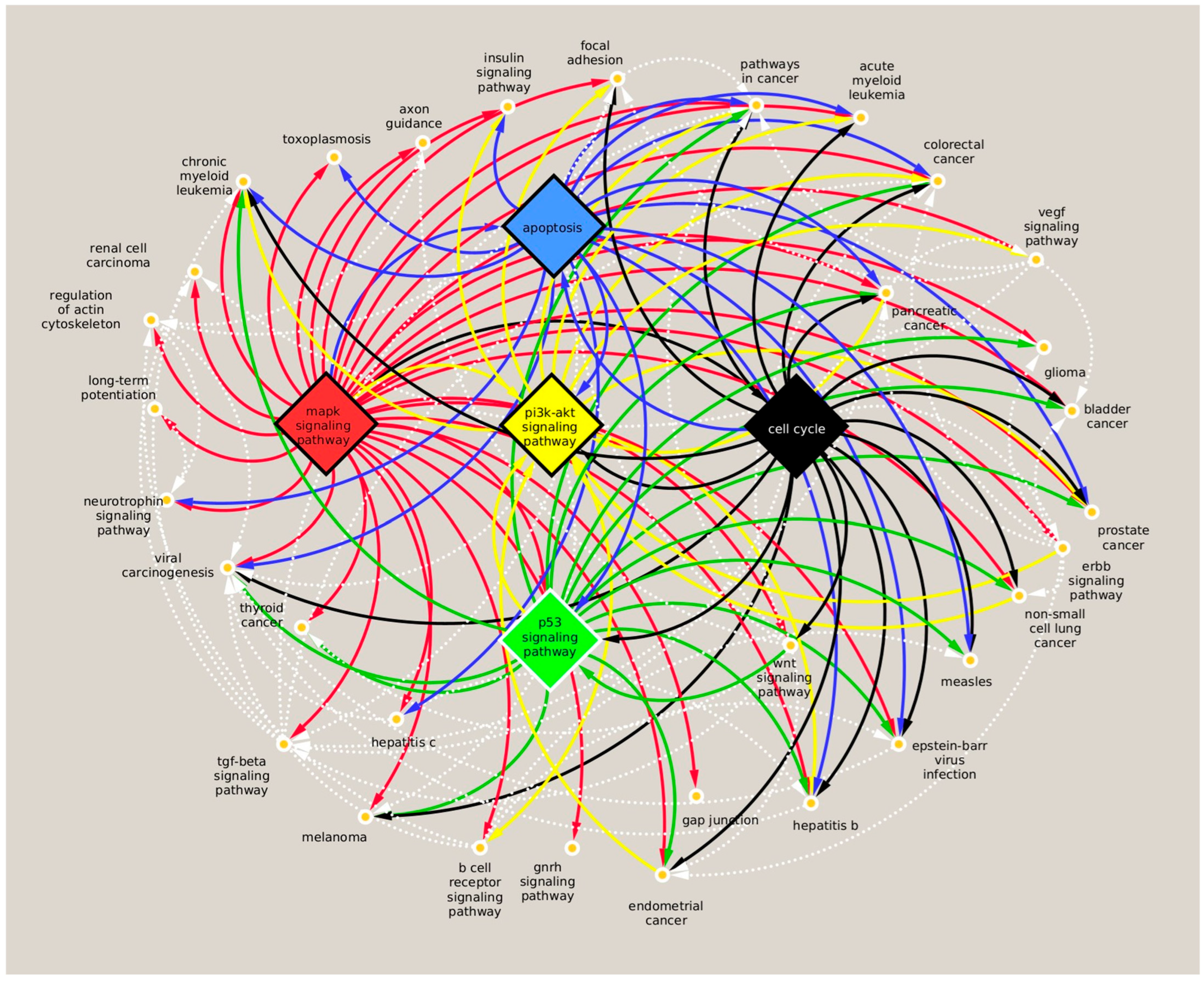 Dentistry 13 00338 g002