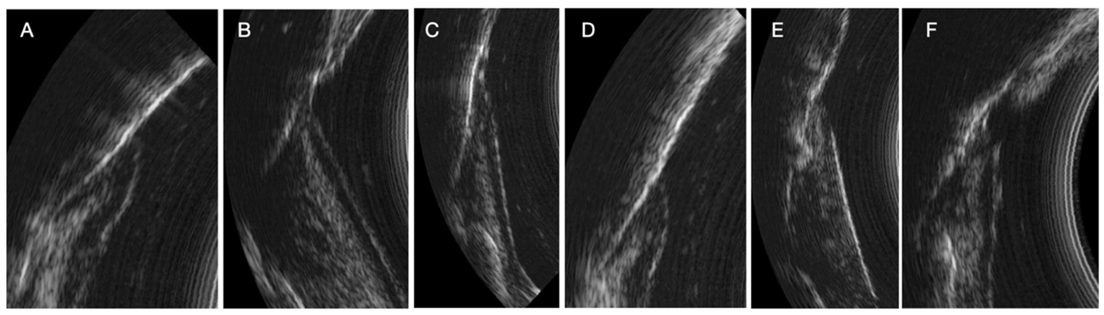 Dentistry 13 00349 g004