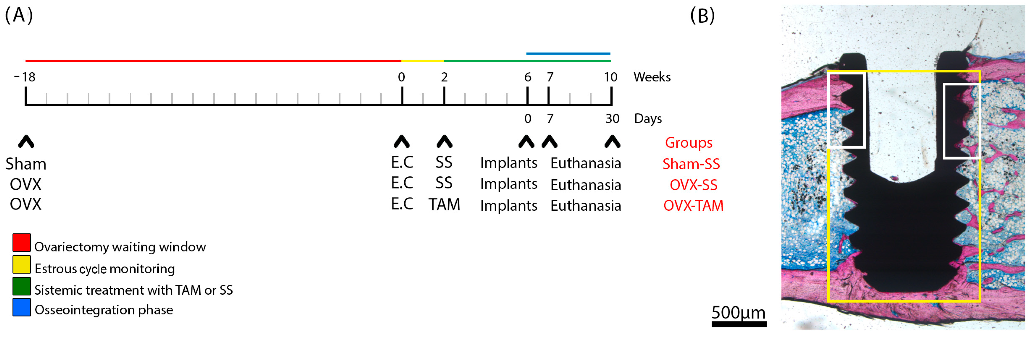 Dentistry 13 00351 g002