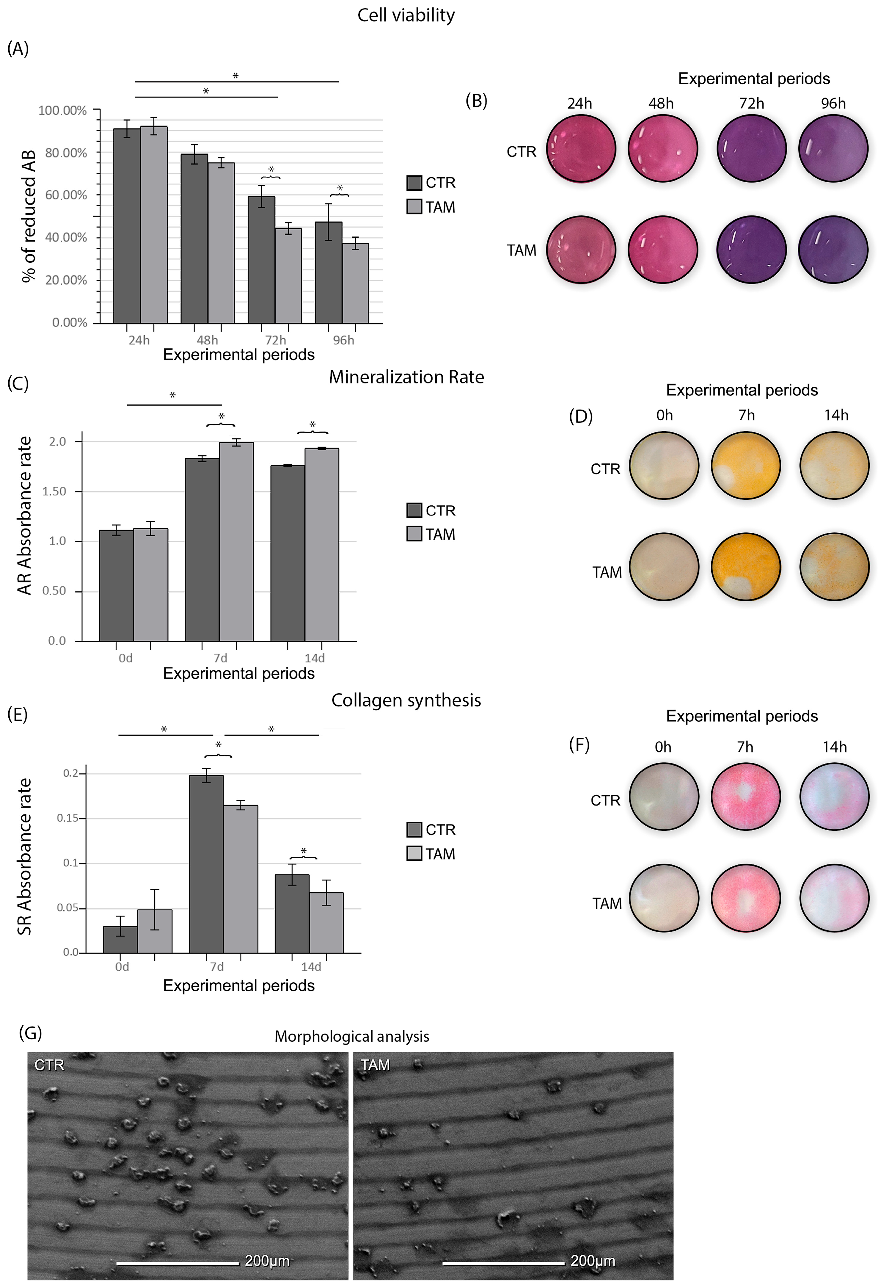 Dentistry 13 00351 g003