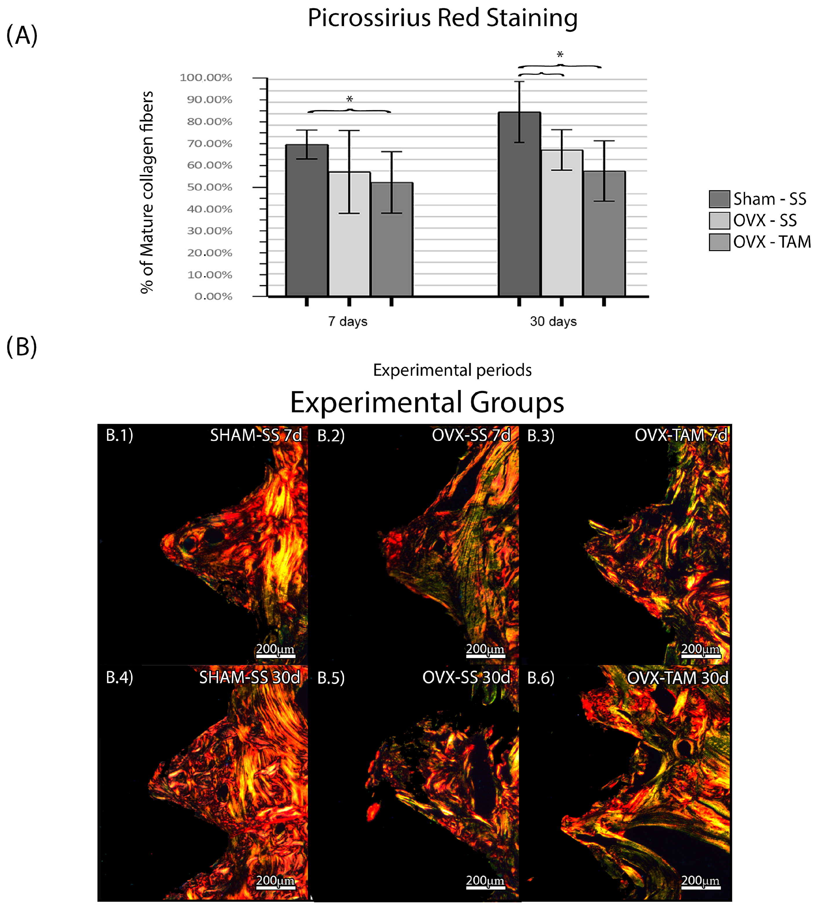 Dentistry 13 00351 g005