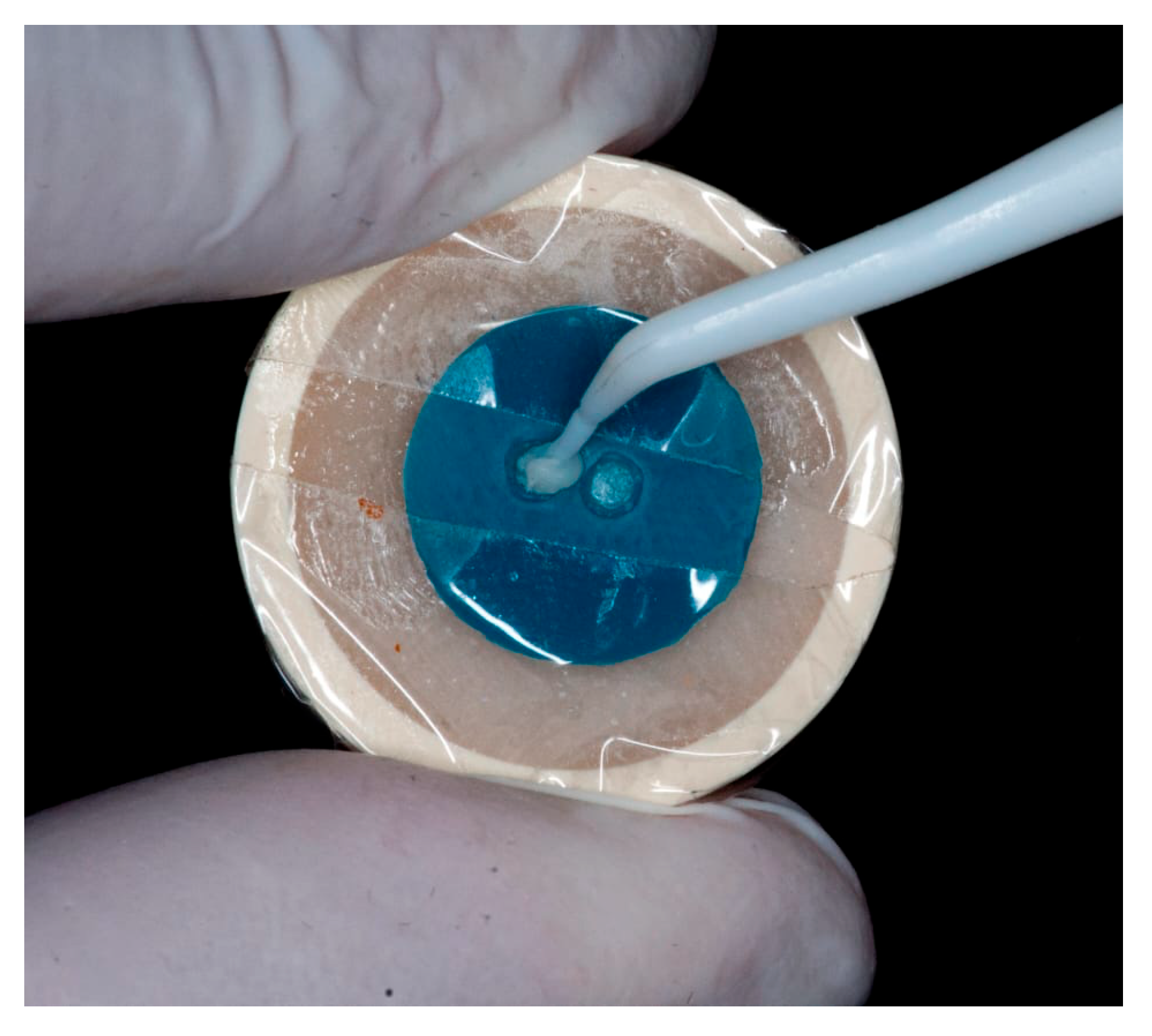 Dentistry 13 00354 g001