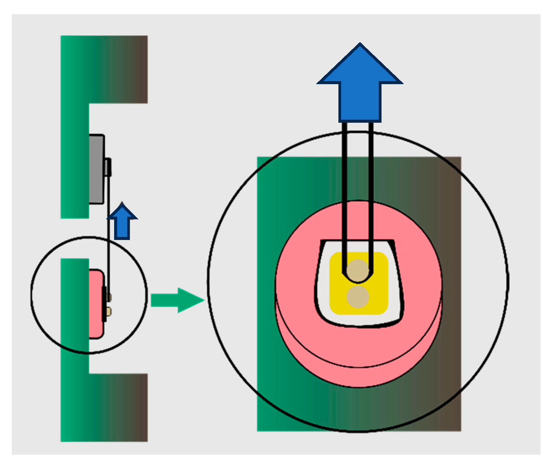 Dentistry 13 00354 g002