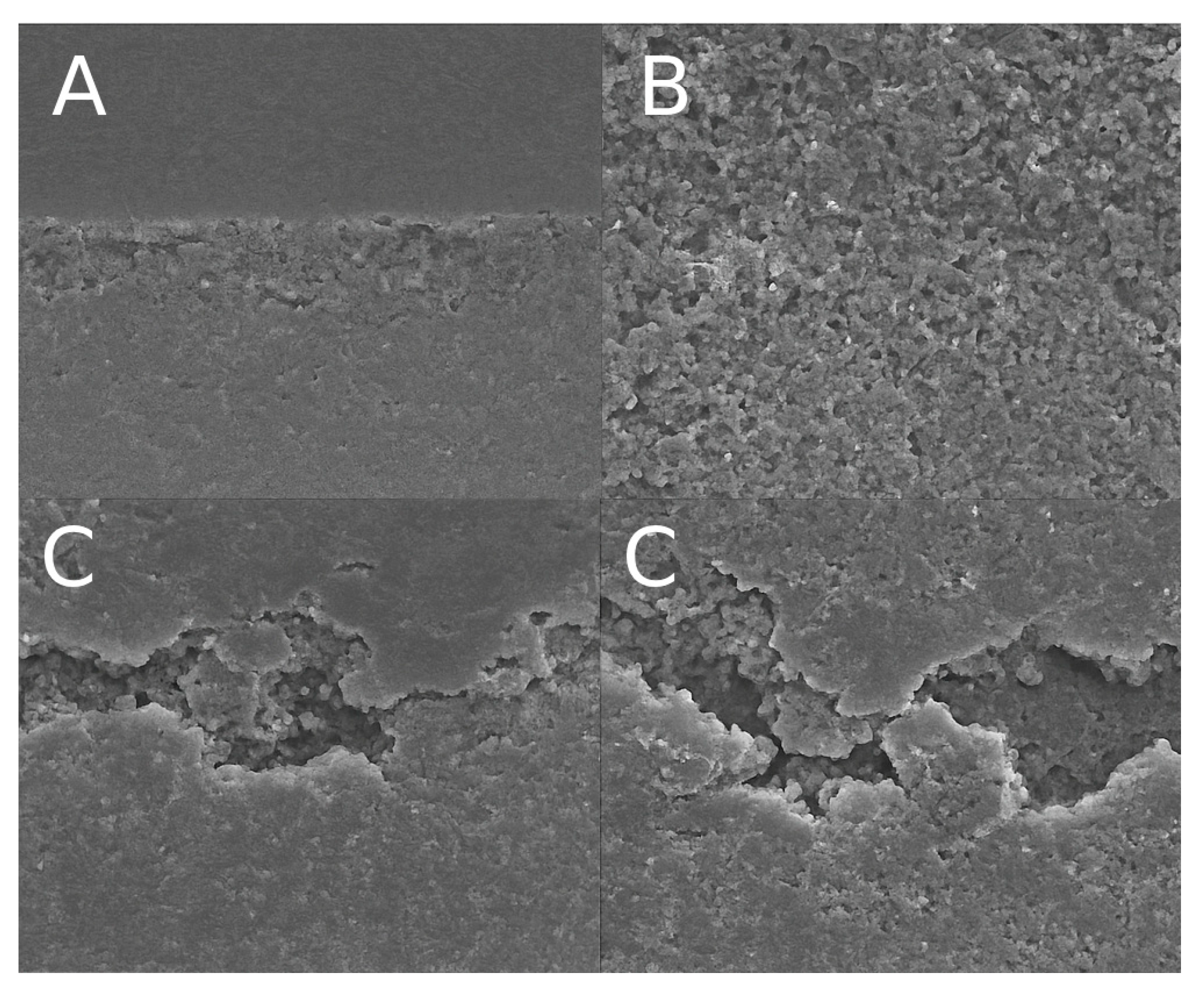 Dentistry 13 00354 g003