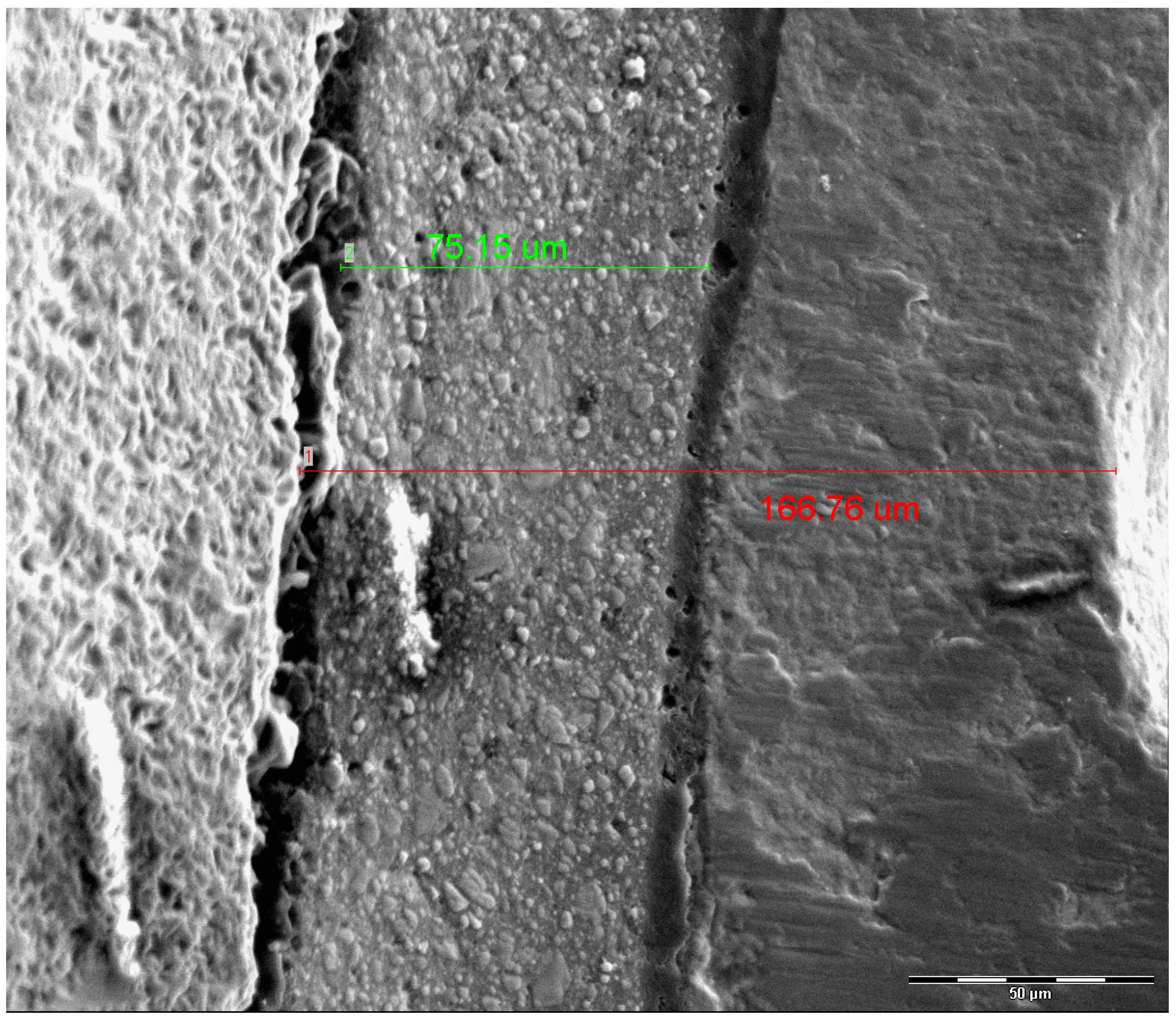 Dentistry 13 00358 g002 Dentistry 13 00358 g002