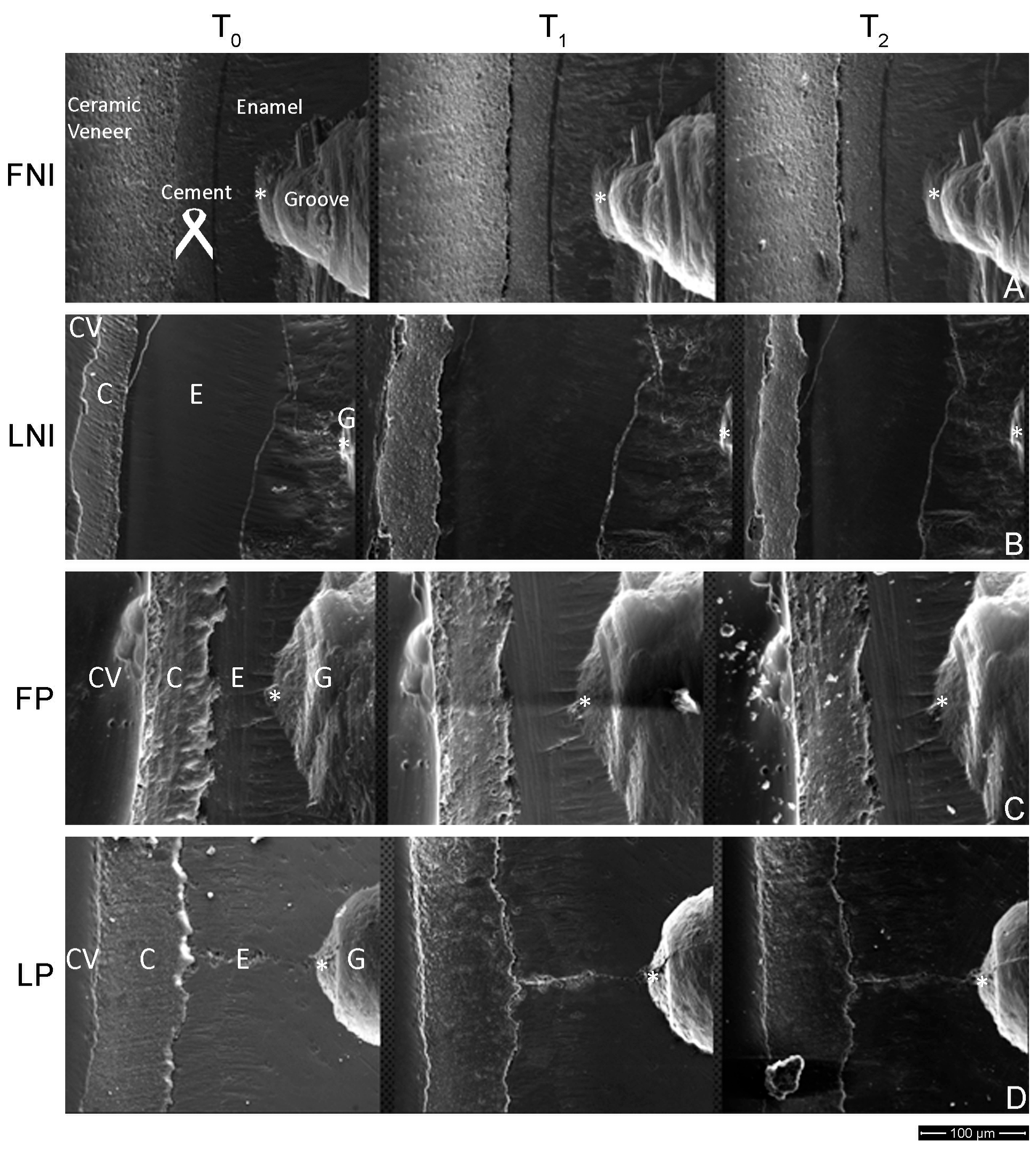 Dentistry 13 00358 g003 Dentistry 13 00358 g003