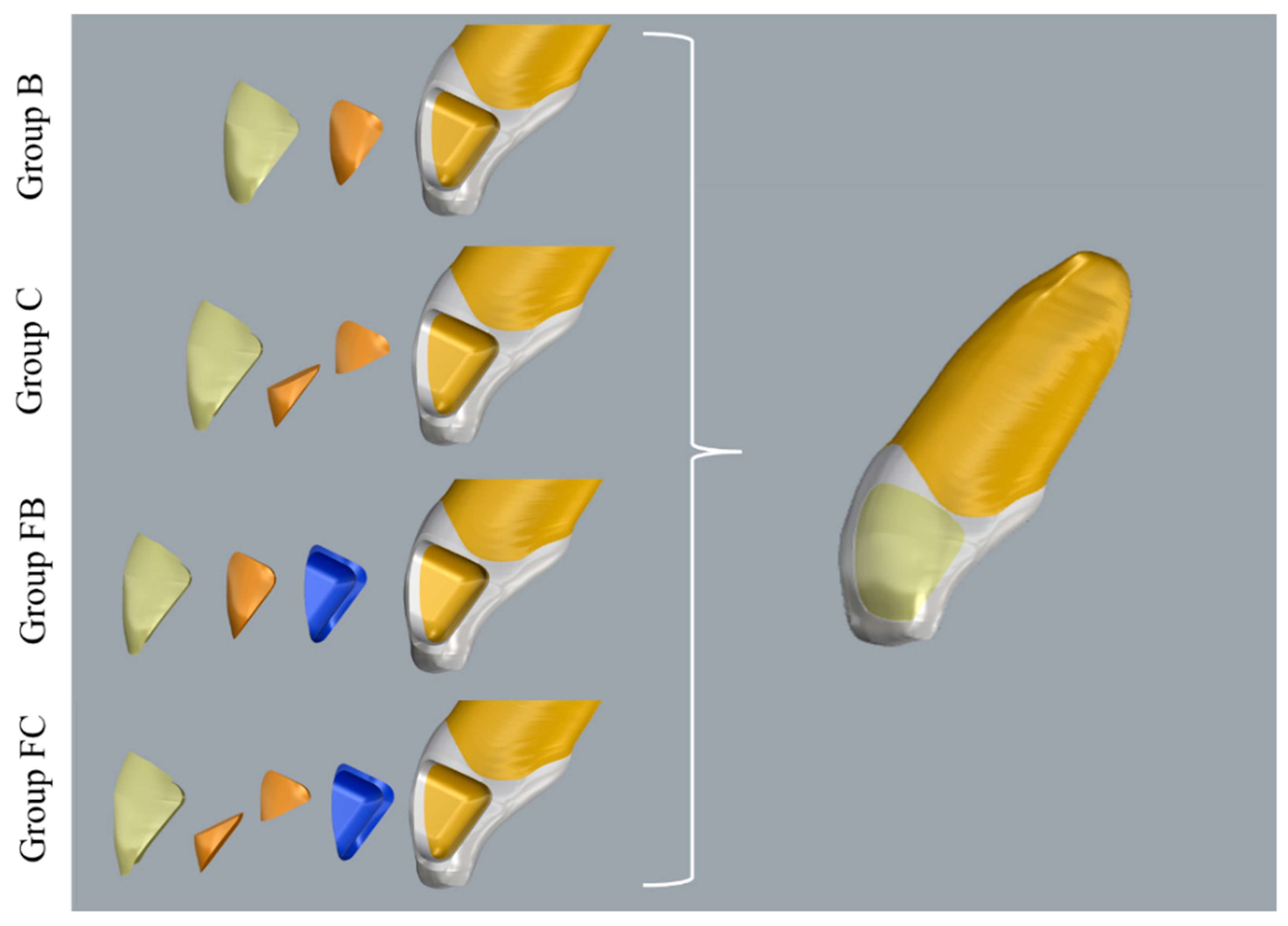 Dentistry 13 00367 g002 Dentistry 13 00367 g002