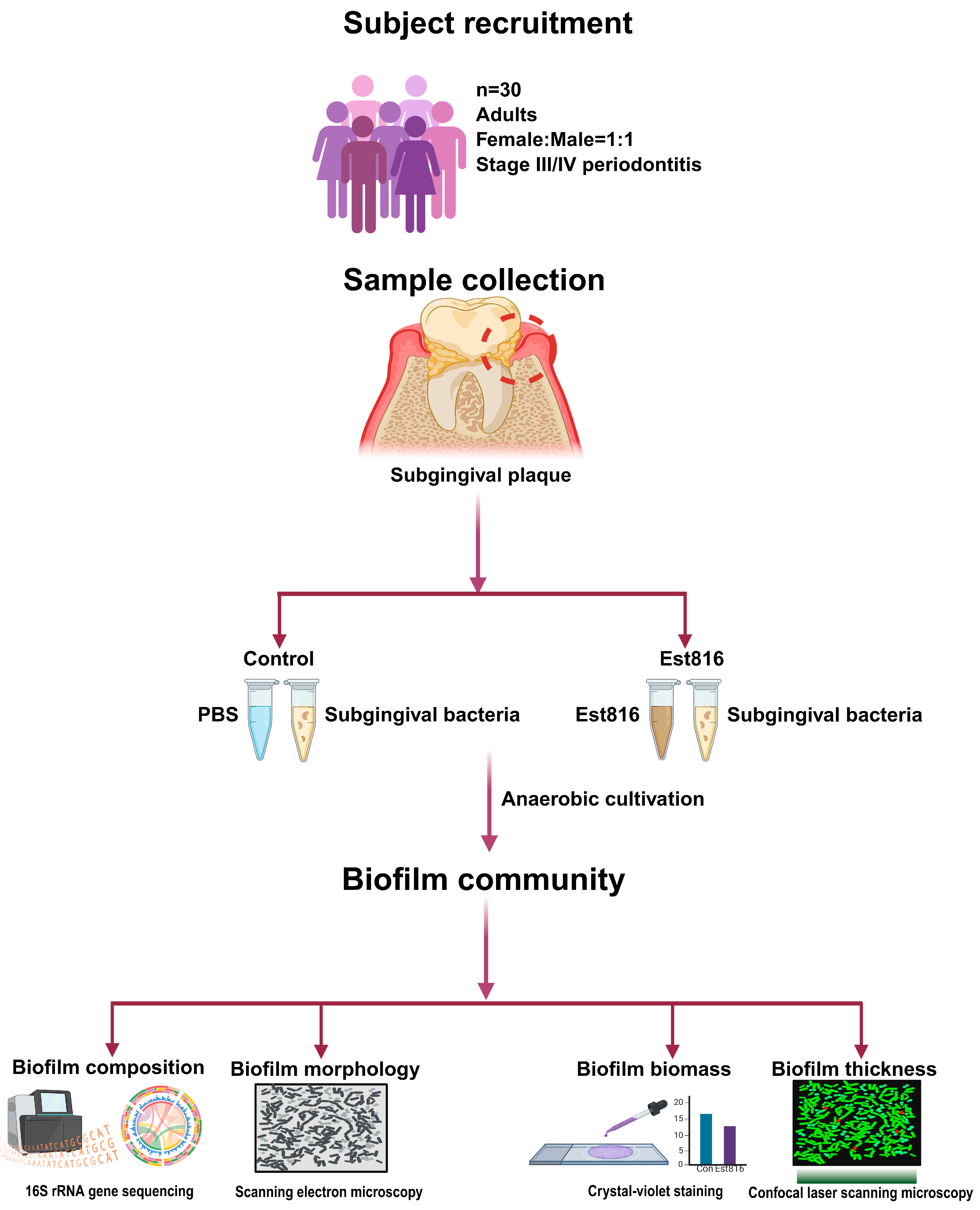 Dentistry 13 00372 g001