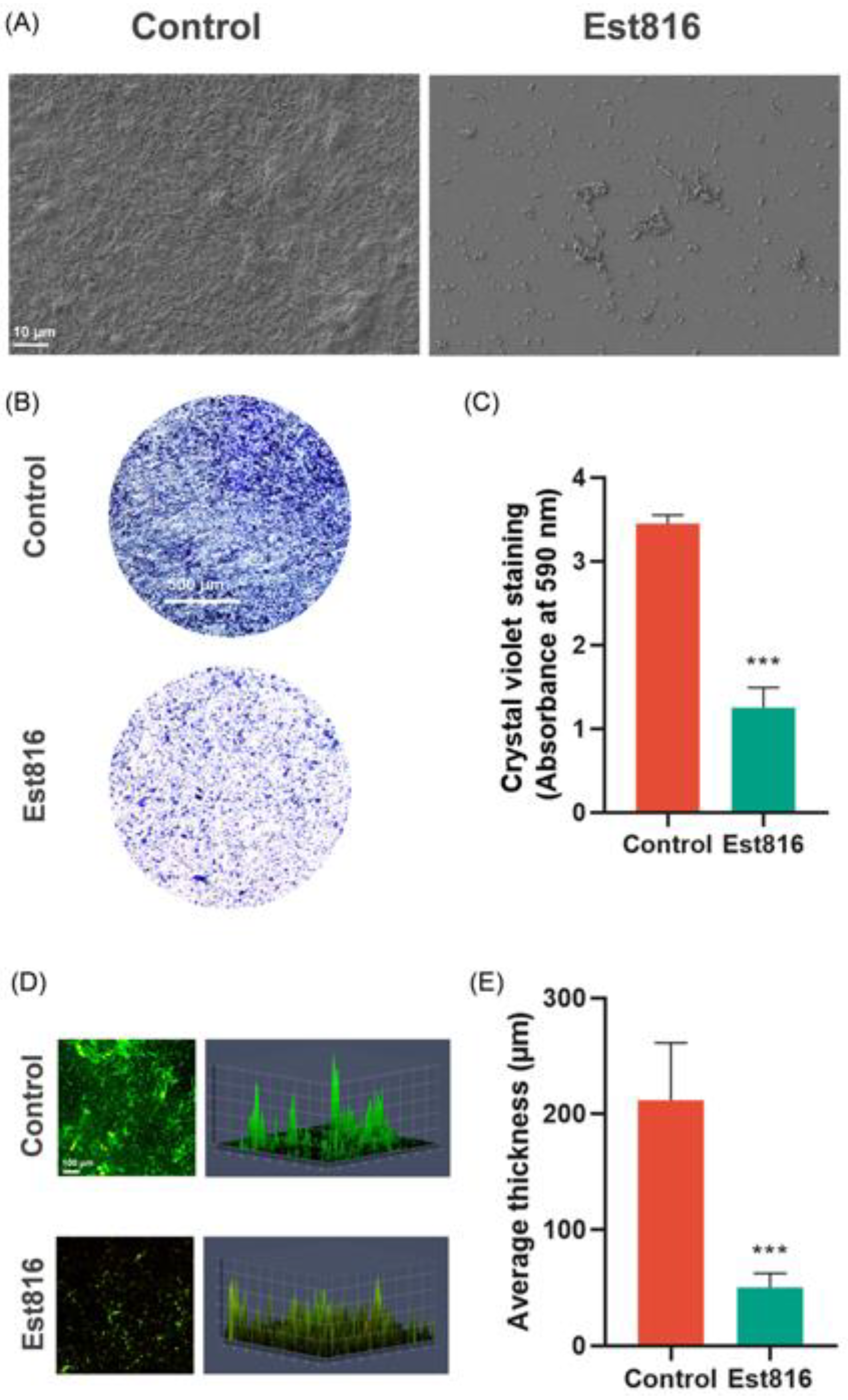 Dentistry 13 00372 g005