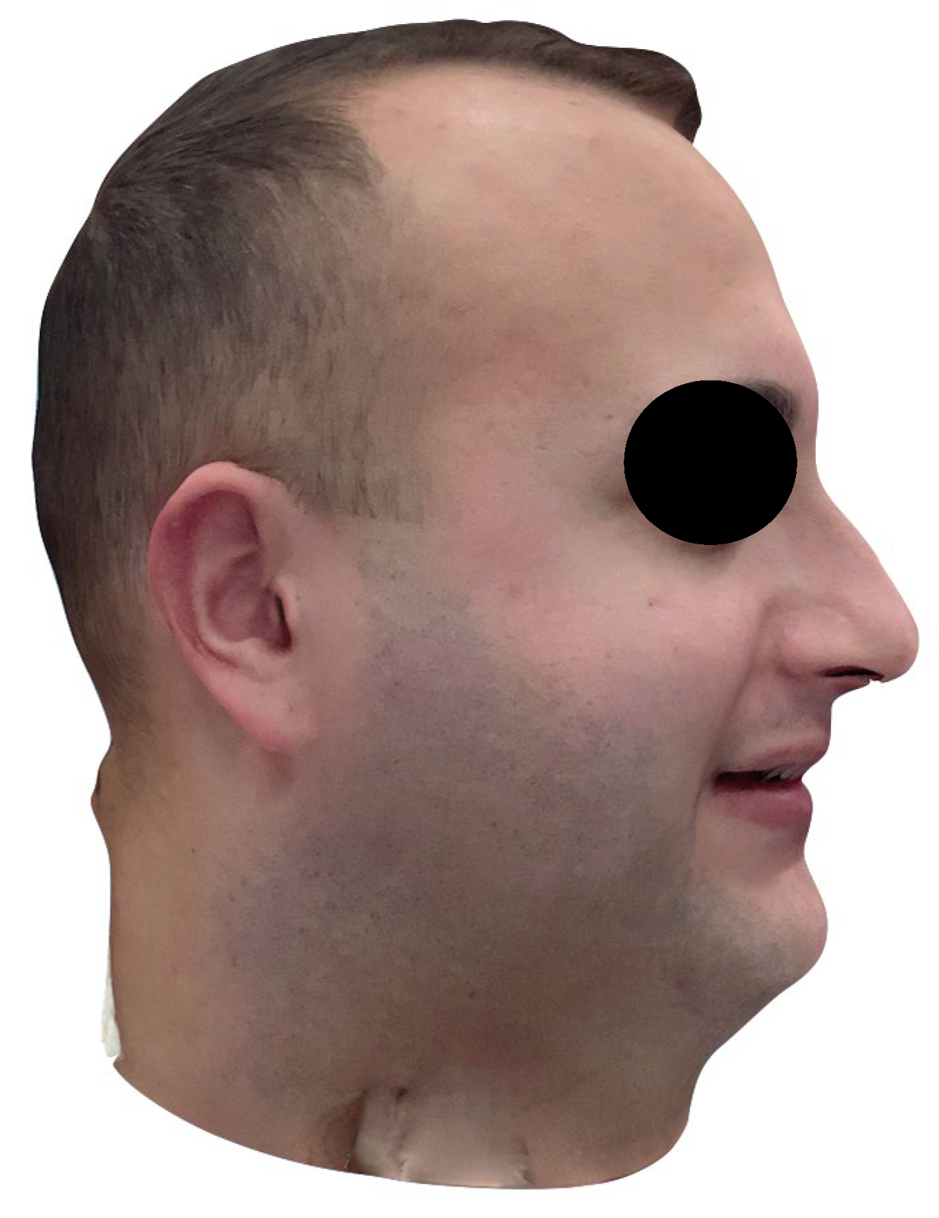 Dentistry 13 00378 g002