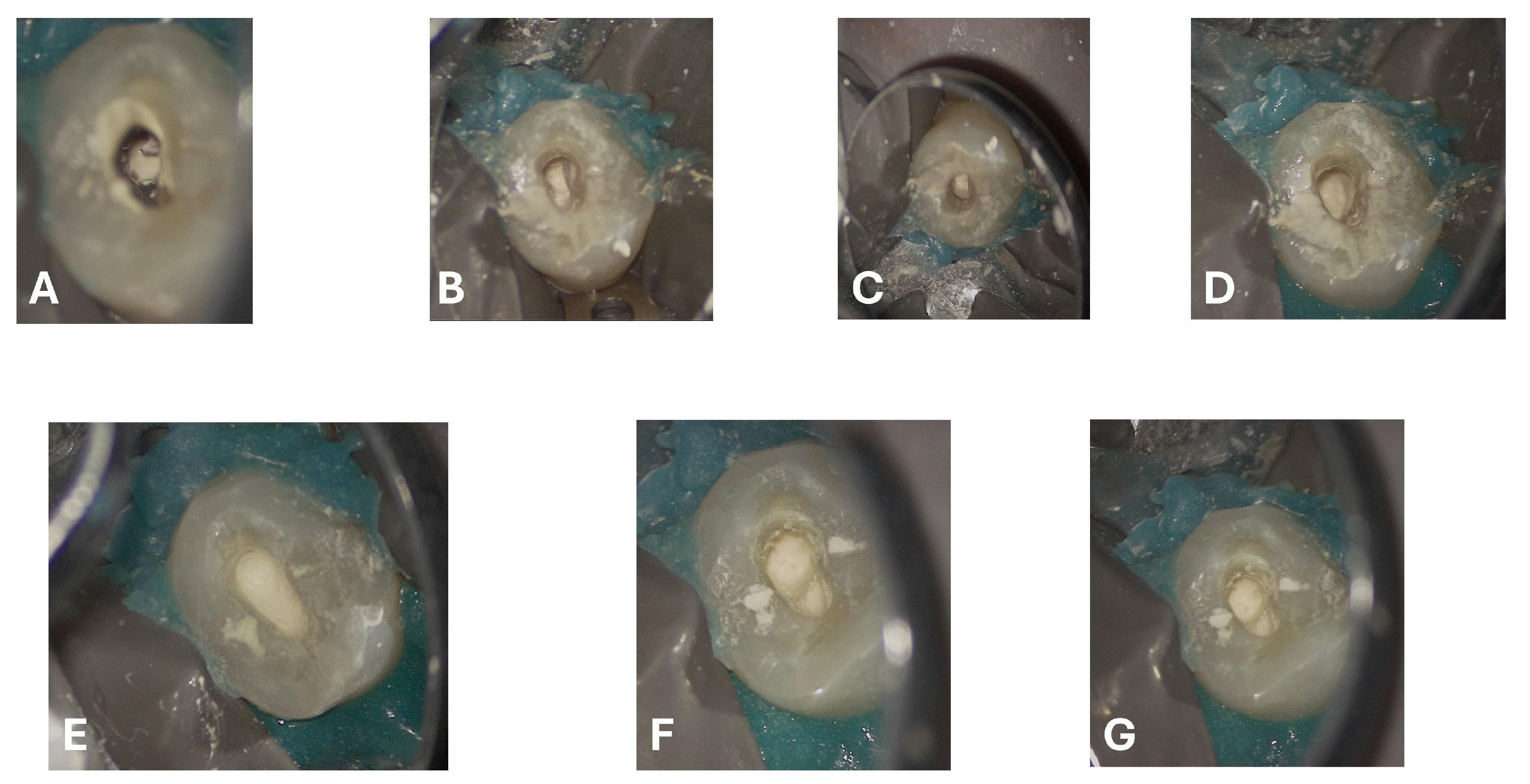 Dentistry 13 00388 g008