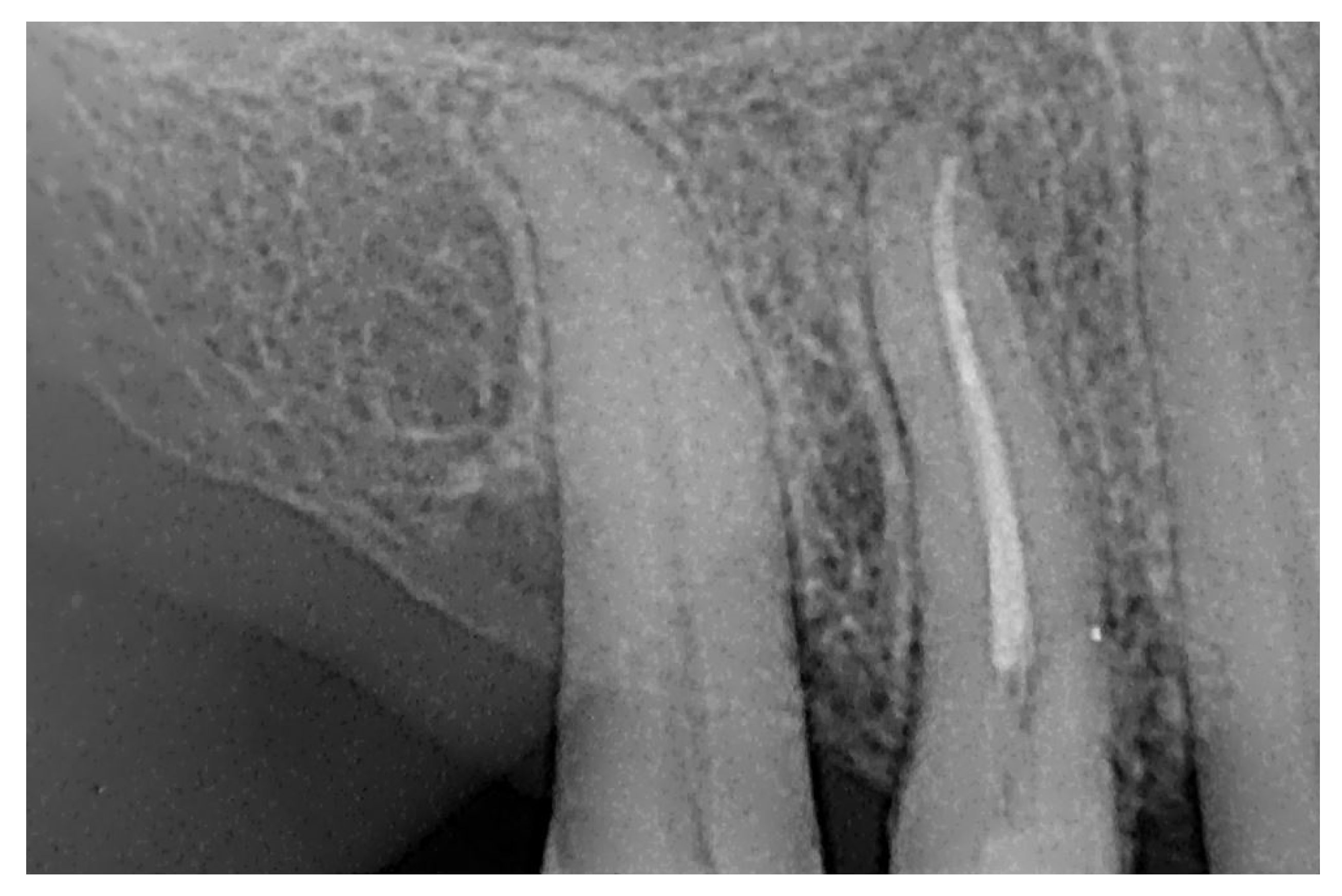 Dentistry 13 00388 g016