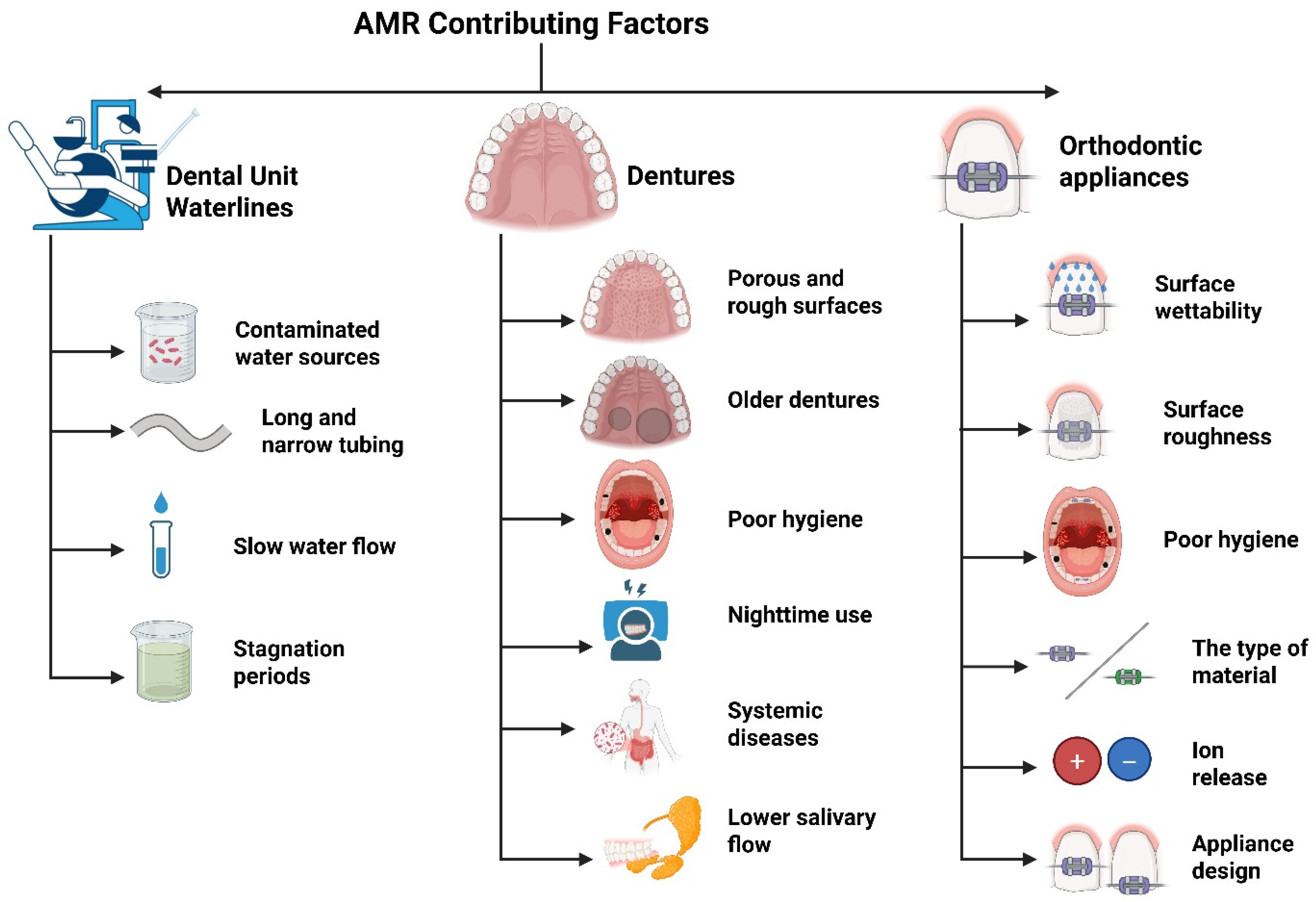 Dentistry 13 00391 g003