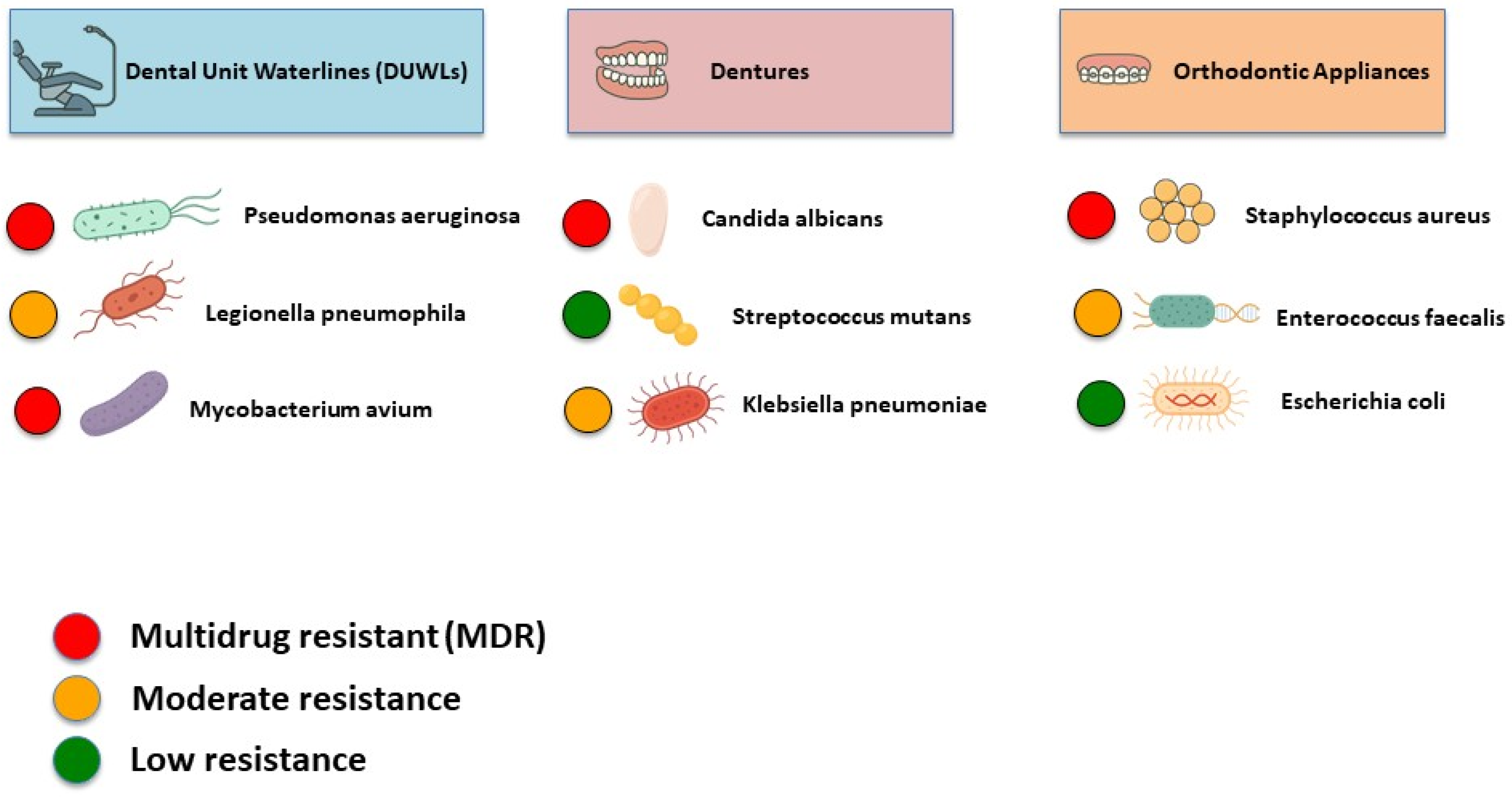 Dentistry 13 00391 g005