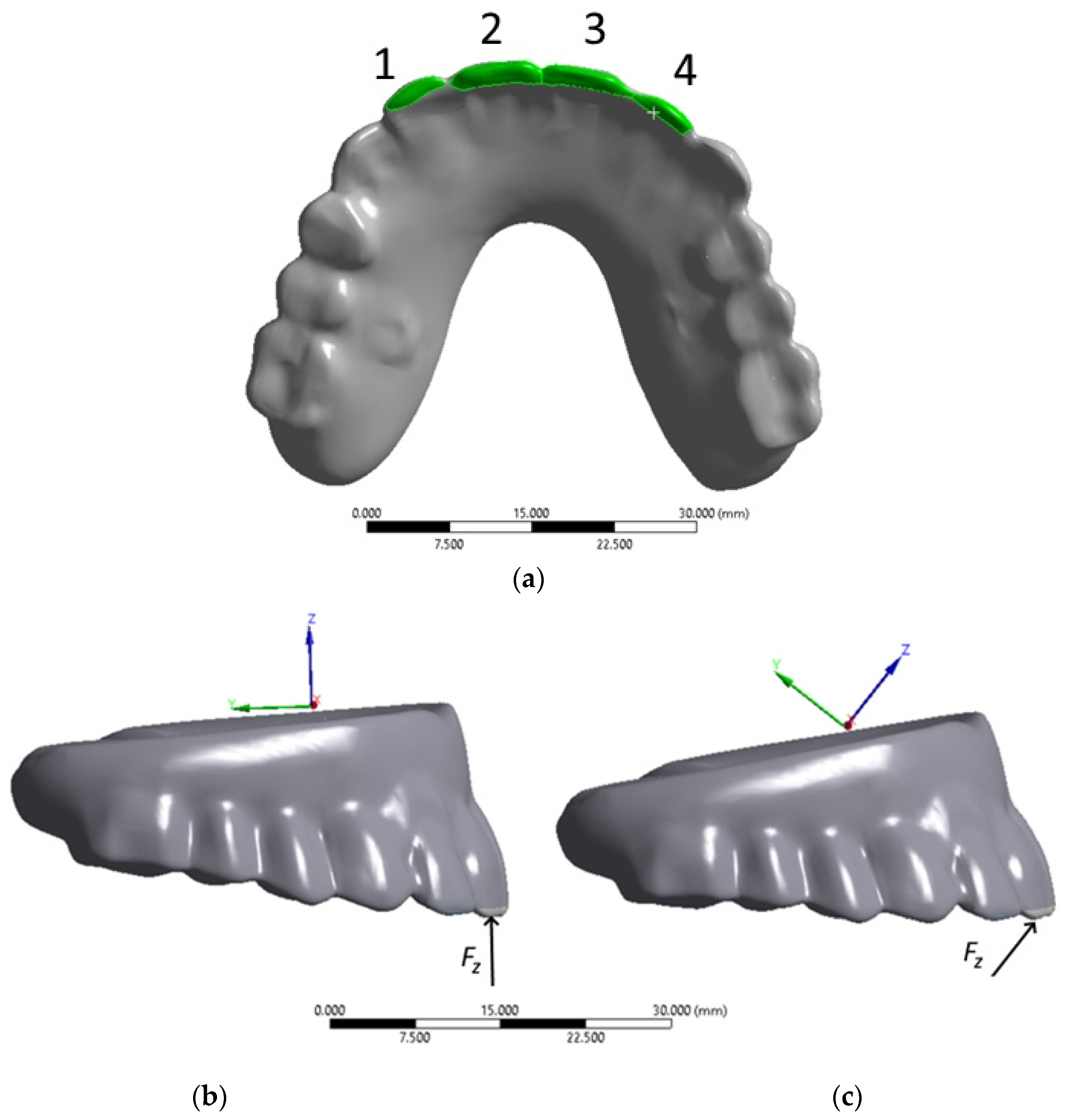 Dentistry 13 00393 g012