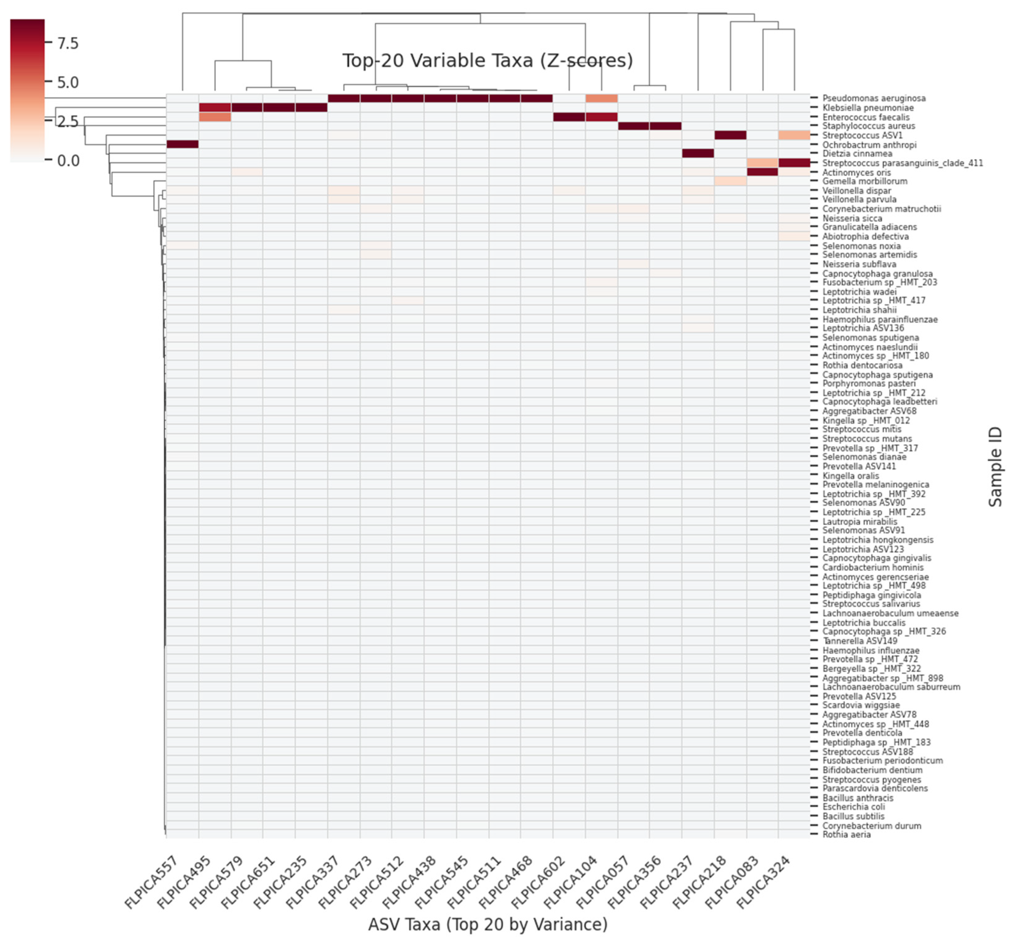Dentistry 13 00402 g004 Dentistry 13 00402 g004