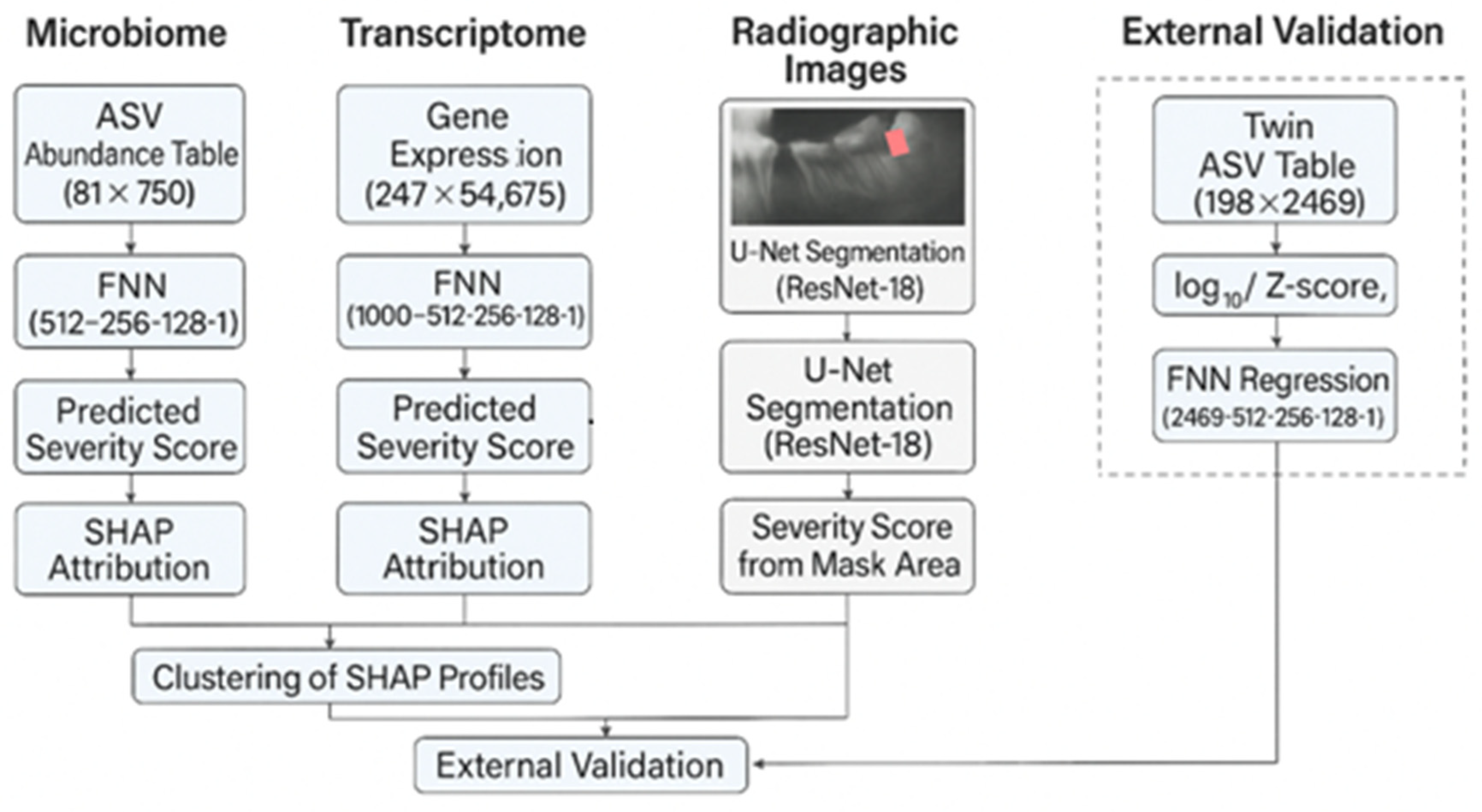 Dentistry 13 00402 g010 Dentistry 13 00402 g010