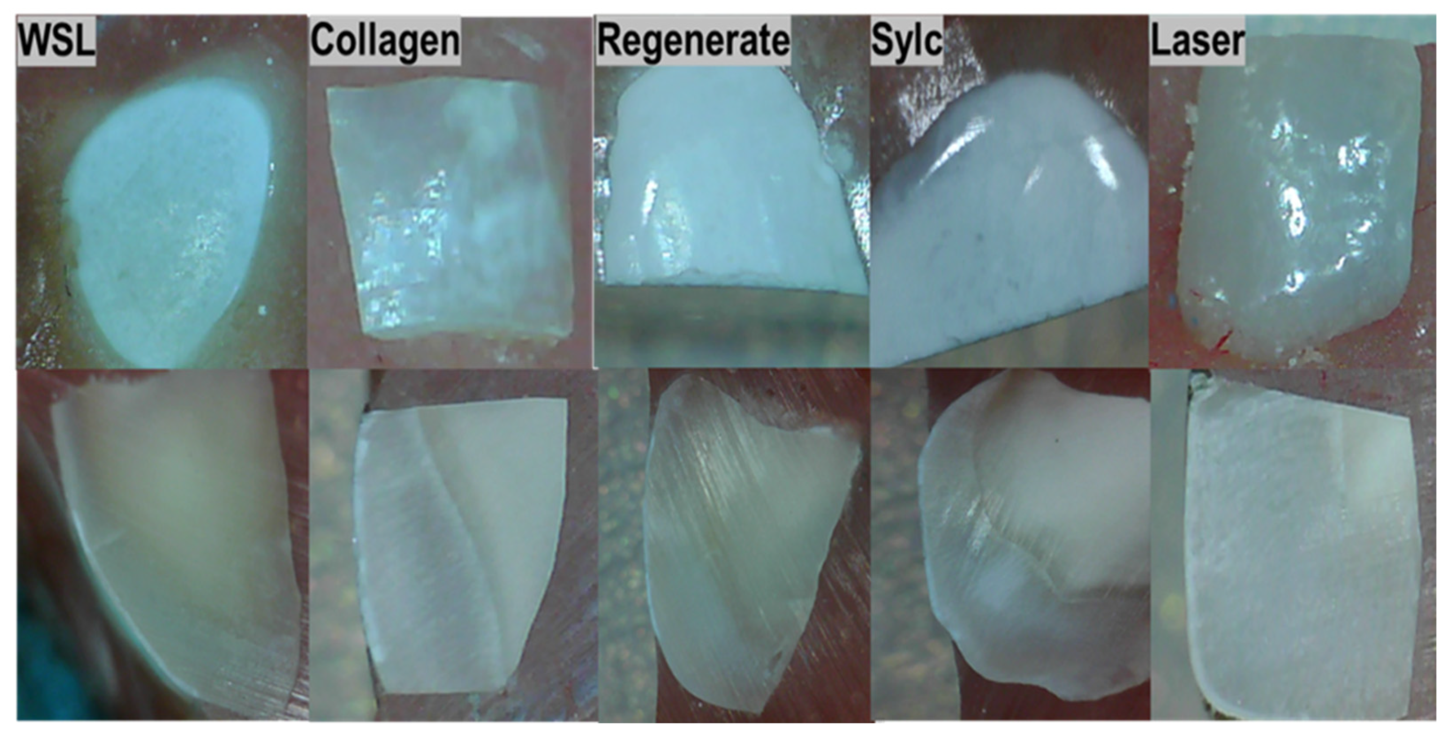 Dentistry 13 00408 g005
