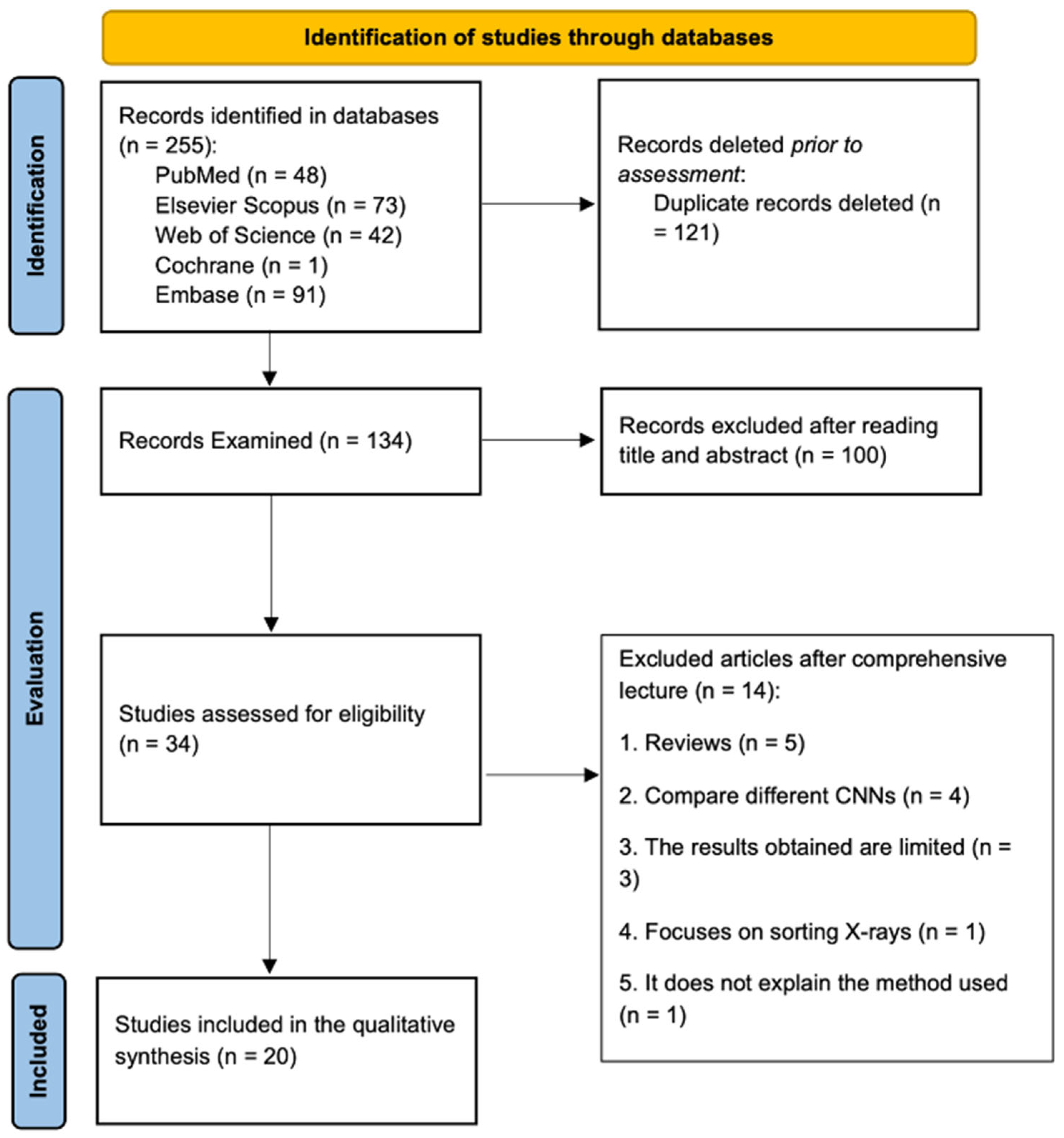 Dentistry 13 00413 g001