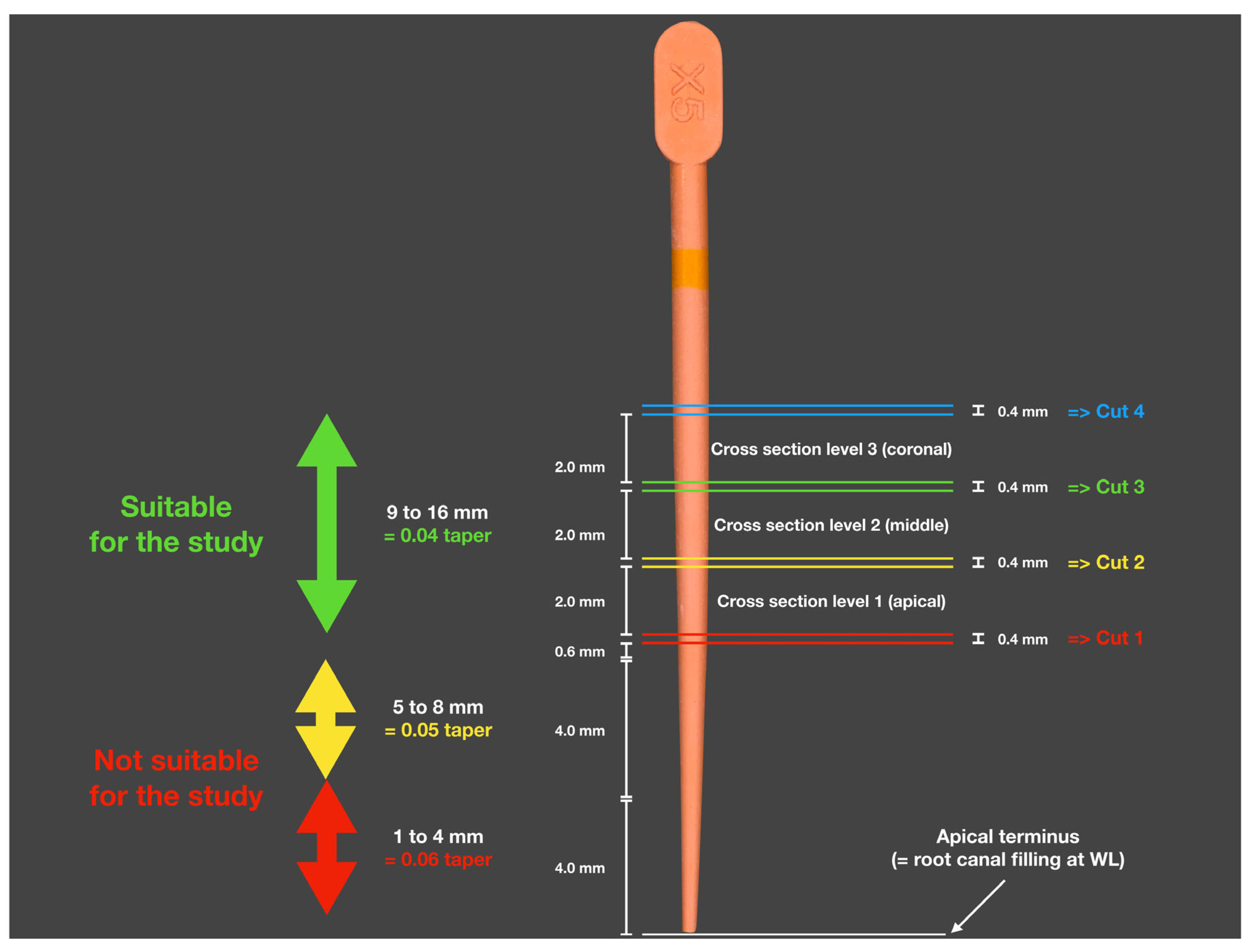 Dentistry 13 00415 g002 Dentistry 13 00415 g002