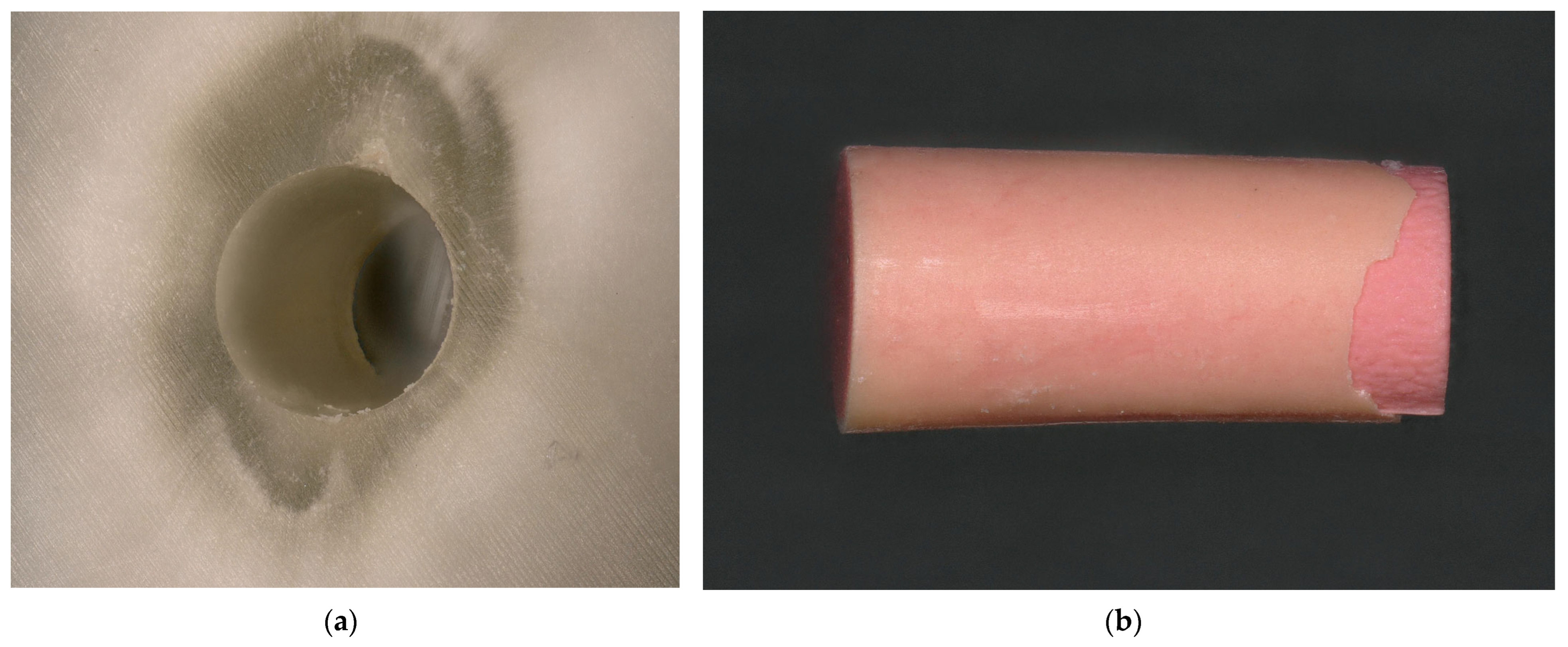 Dentistry 13 00415 g008 Dentistry 13 00415 g008