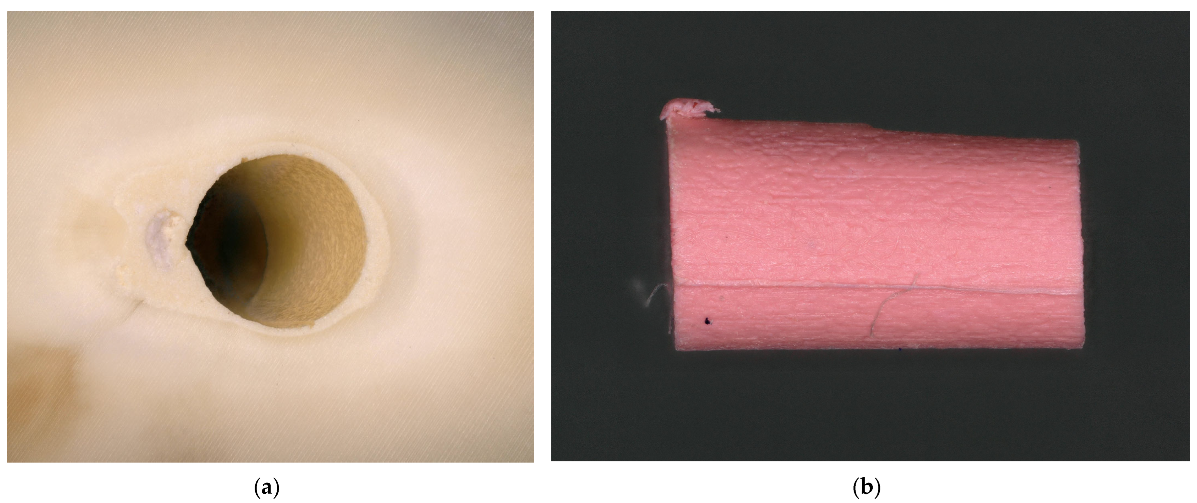 Dentistry 13 00415 g009 Dentistry 13 00415 g009