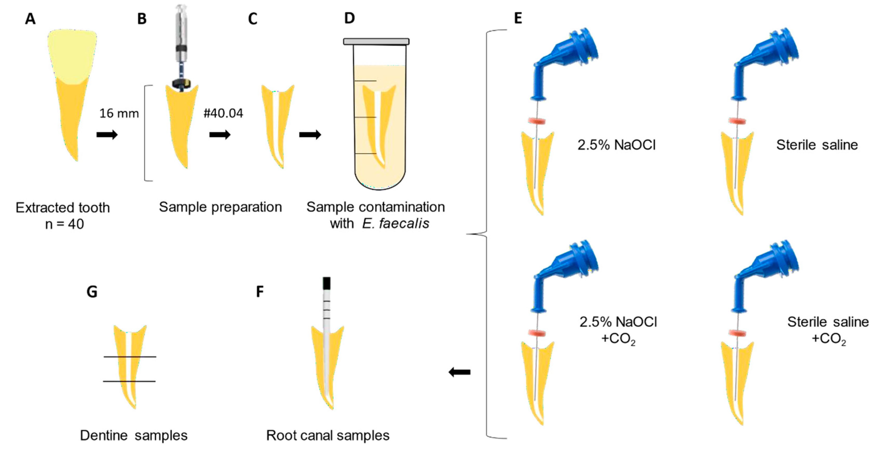 Dentistry 13 00417 g001