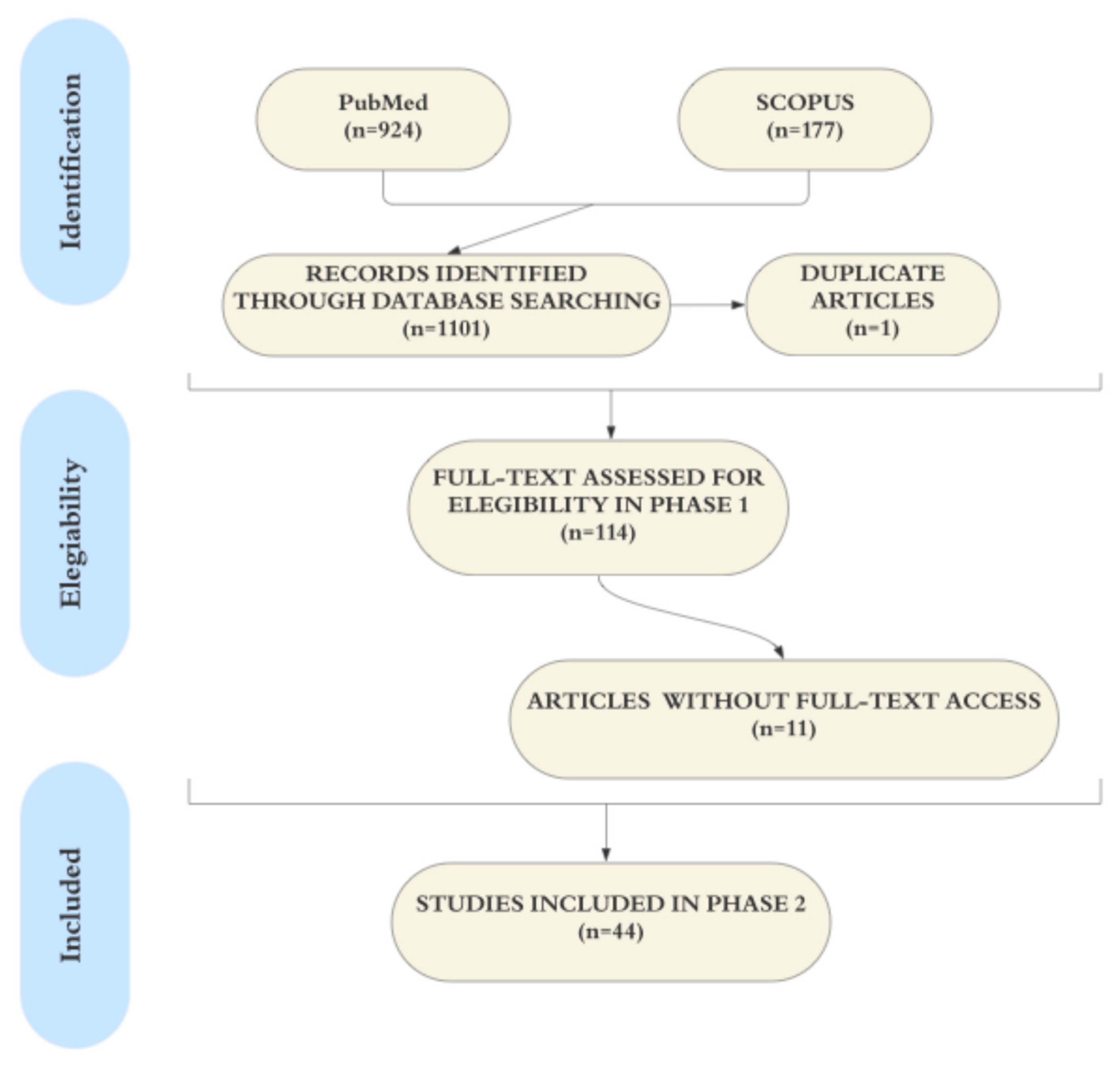 Dentistry 13 00422 g001