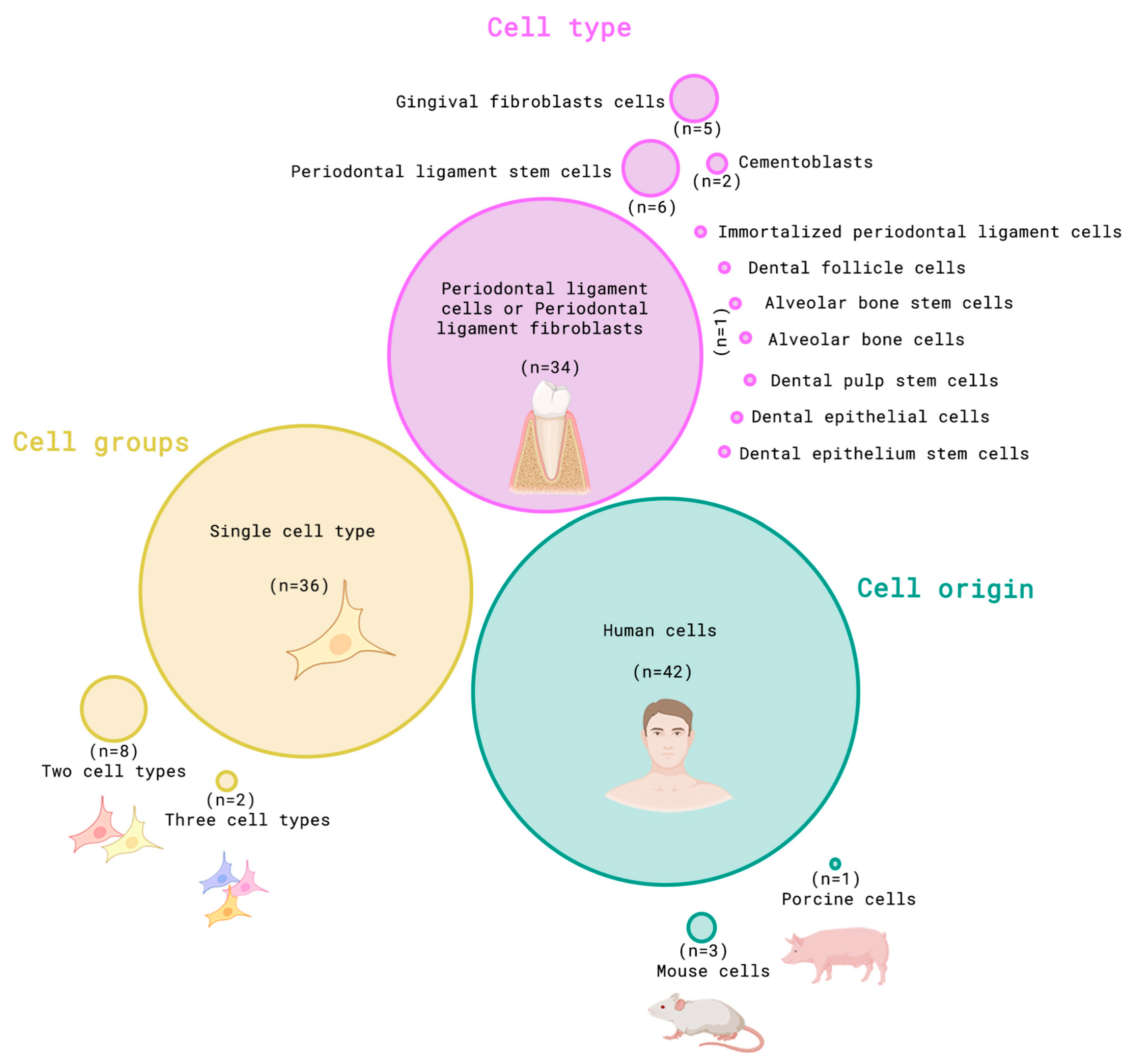 Dentistry 13 00422 g002