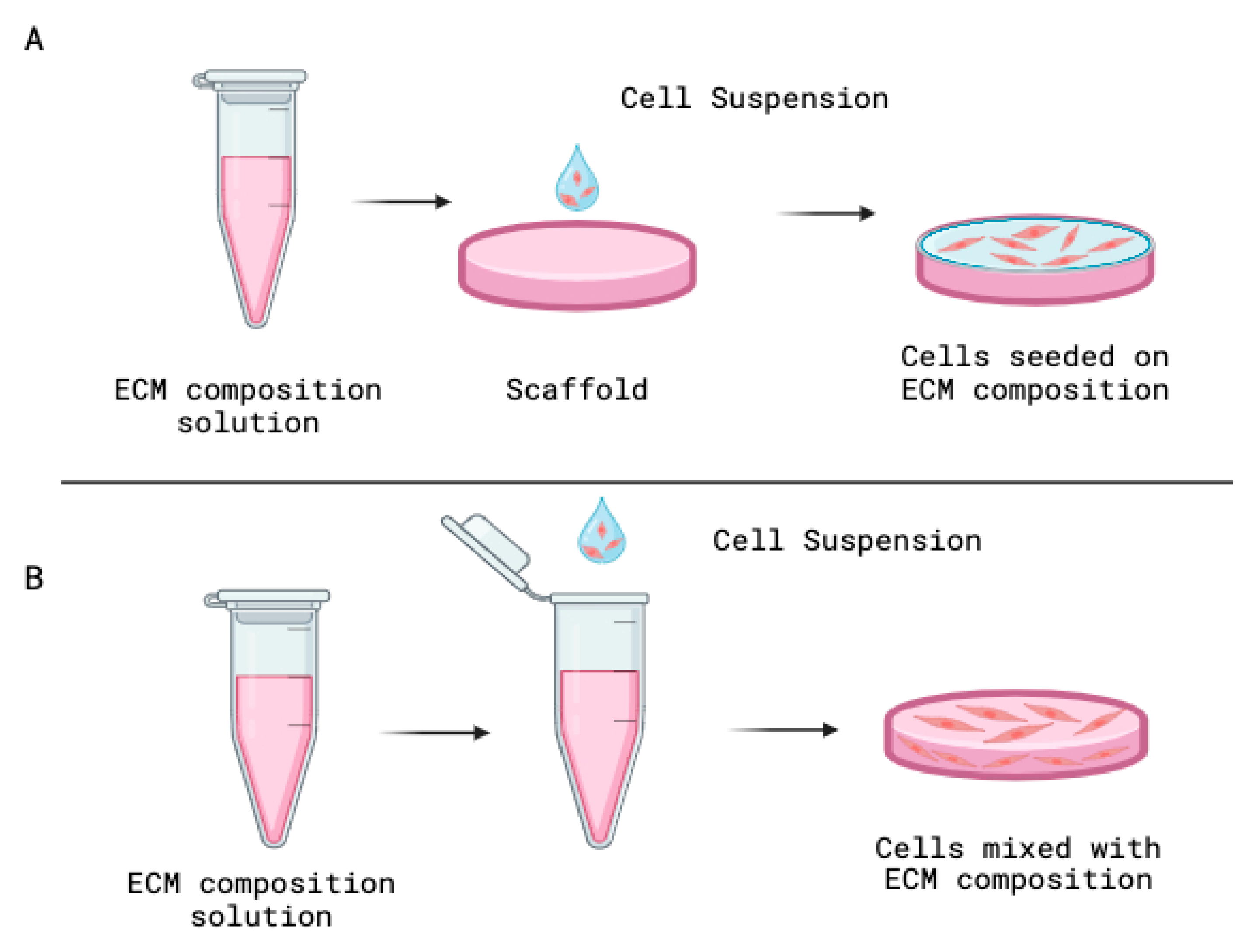Dentistry 13 00422 g004