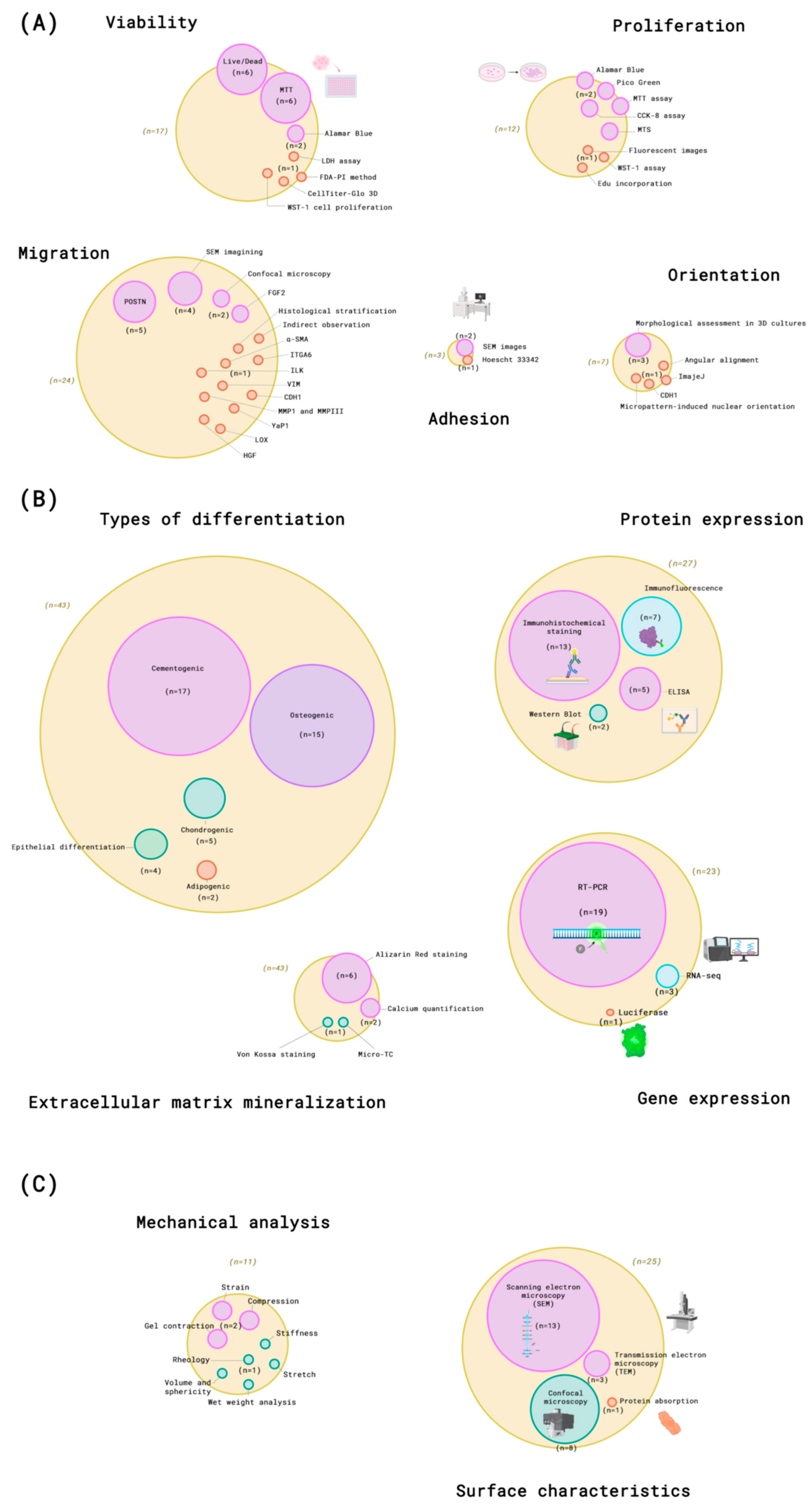 Dentistry 13 00422 g005