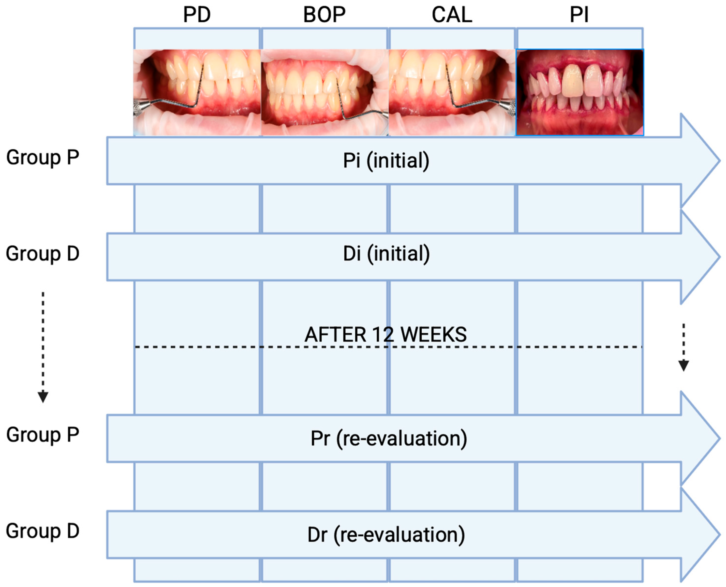 Dentistry 13 00429 g001