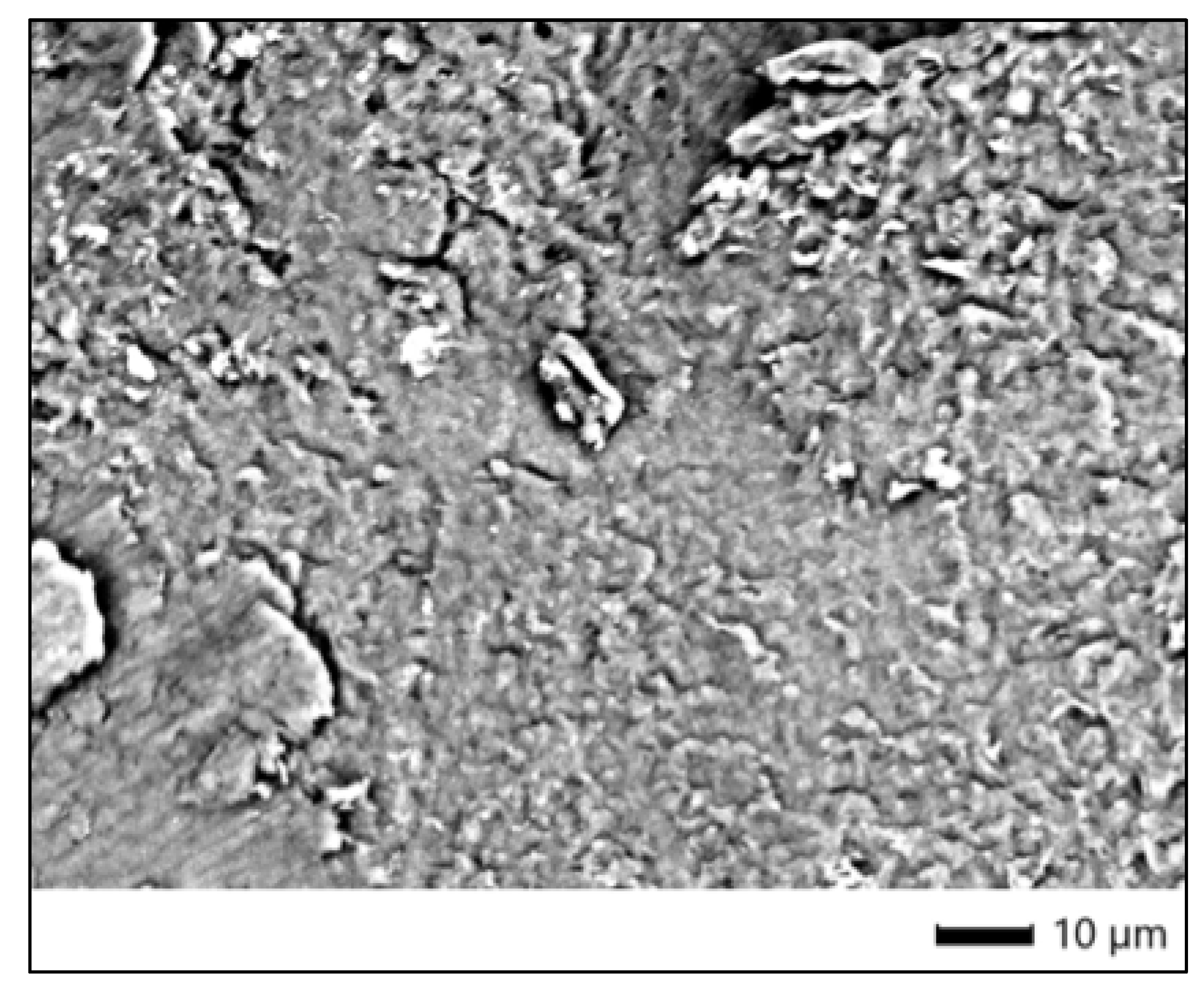 Dentistry 13 00431 g001