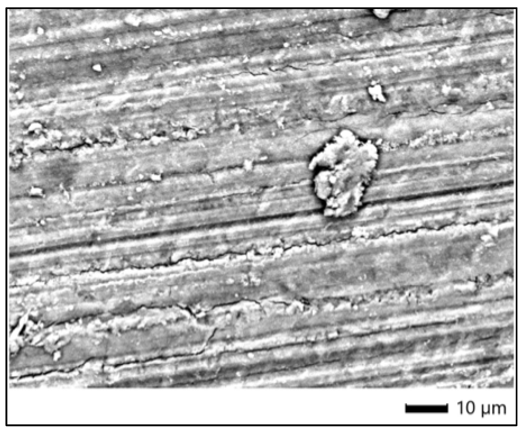 Dentistry 13 00431 g004