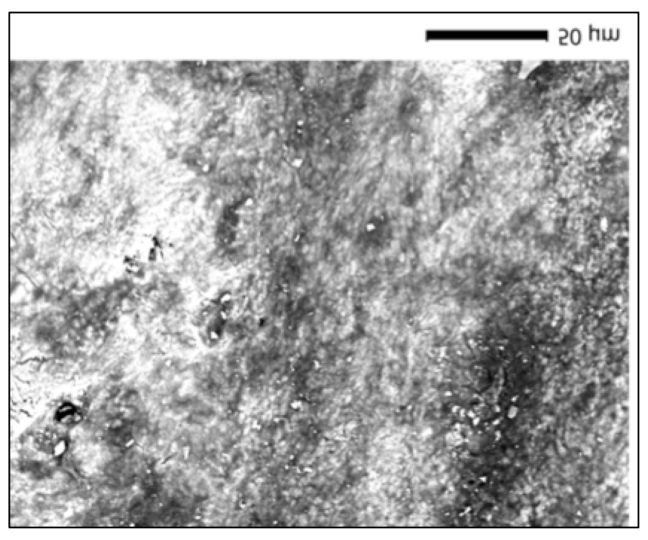 Dentistry 13 00431 g006