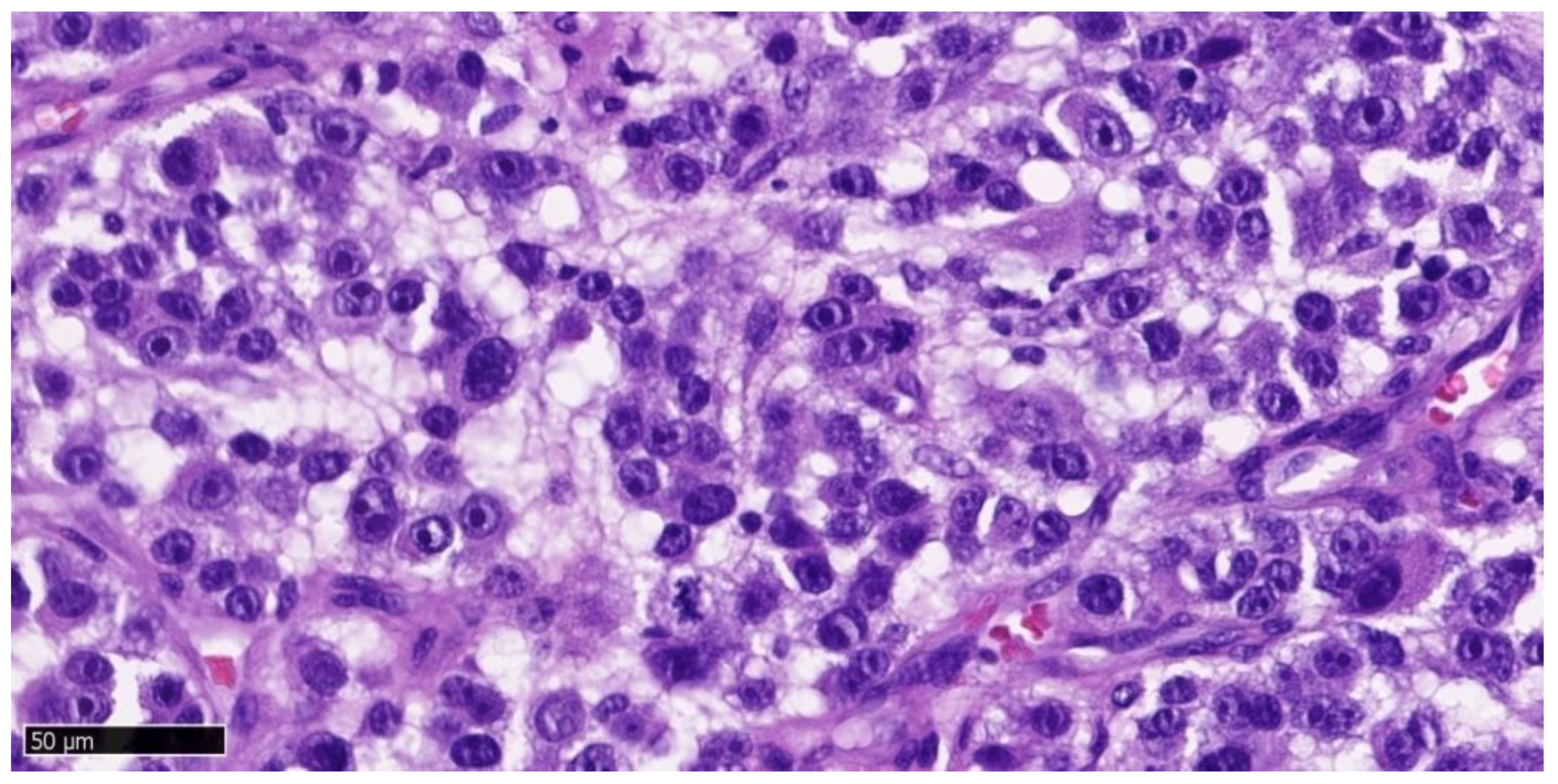 Dentistry 13 00432 g005