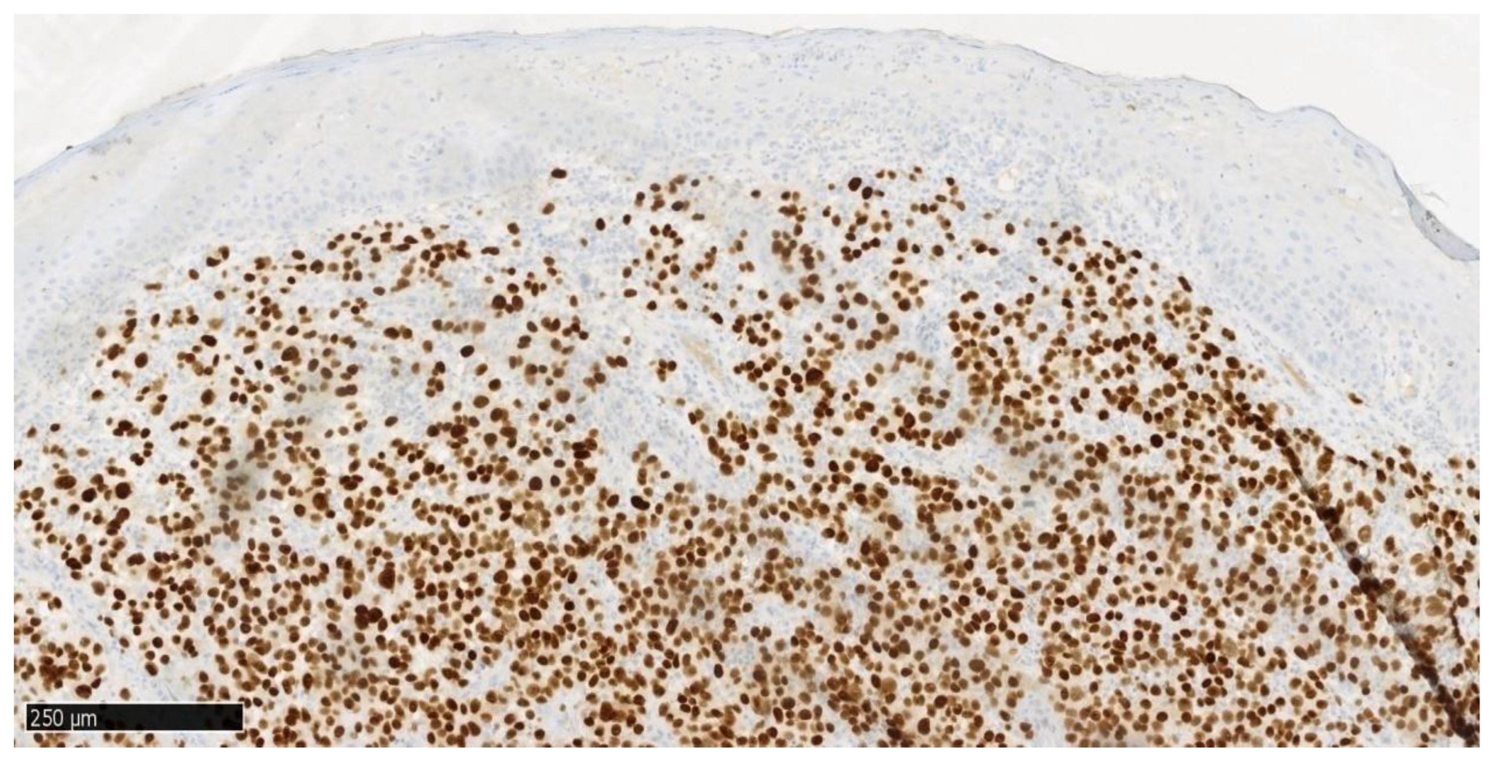 Dentistry 13 00432 g009