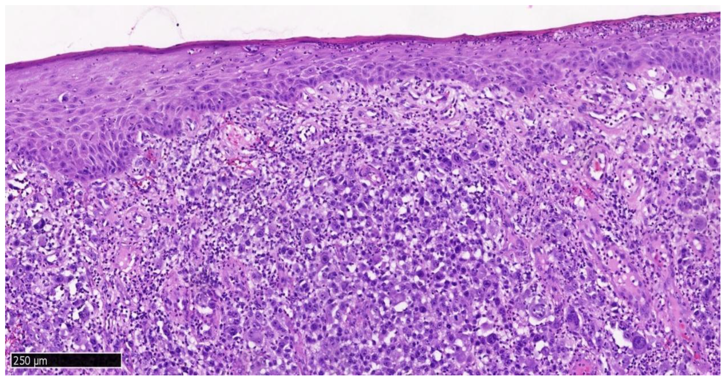 Dentistry 13 00432 g010