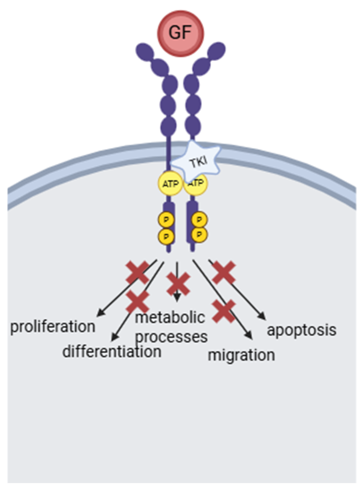 Dentistry 13 00439 g001