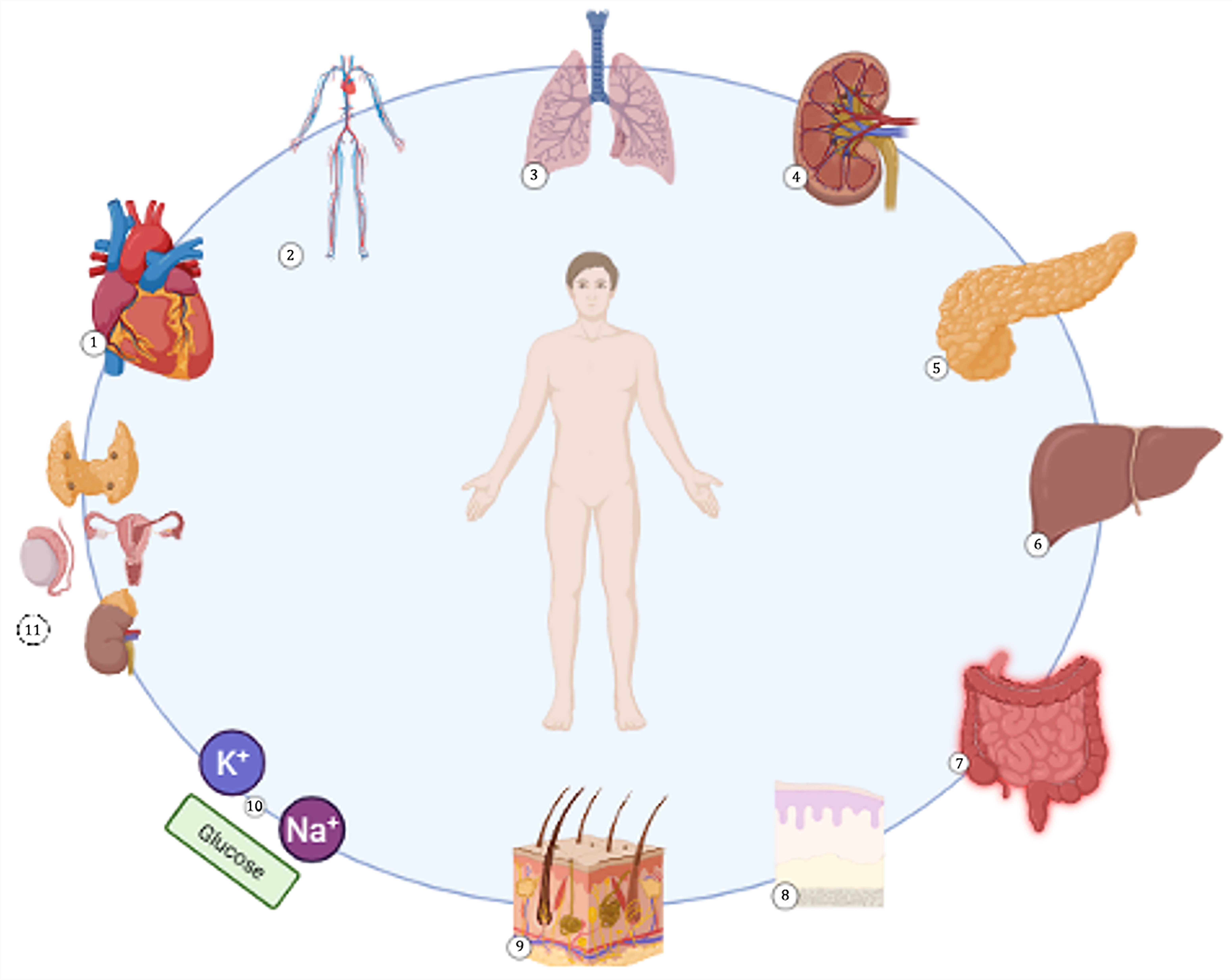 Dentistry 13 00439 g002