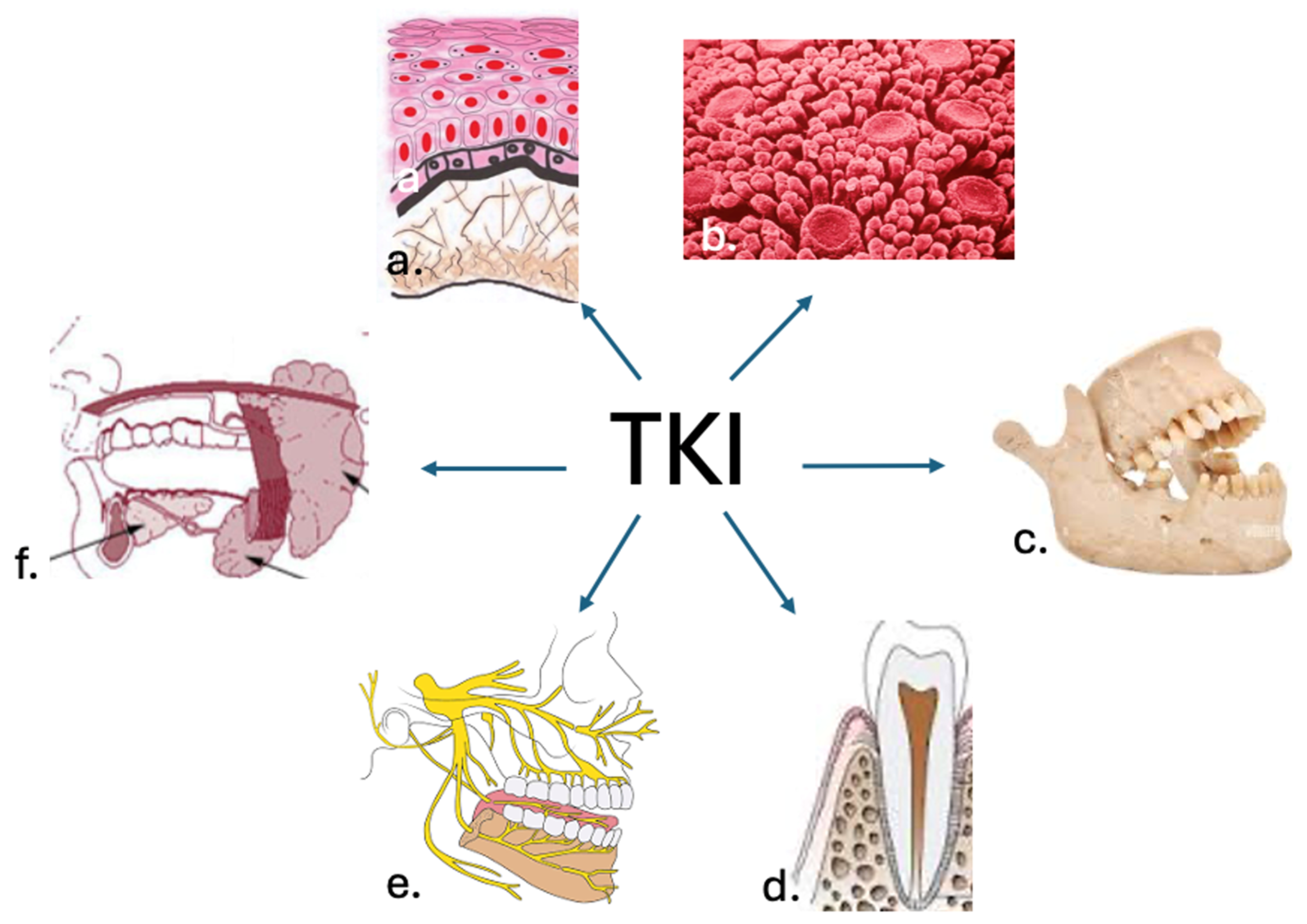 Dentistry 13 00439 g003
