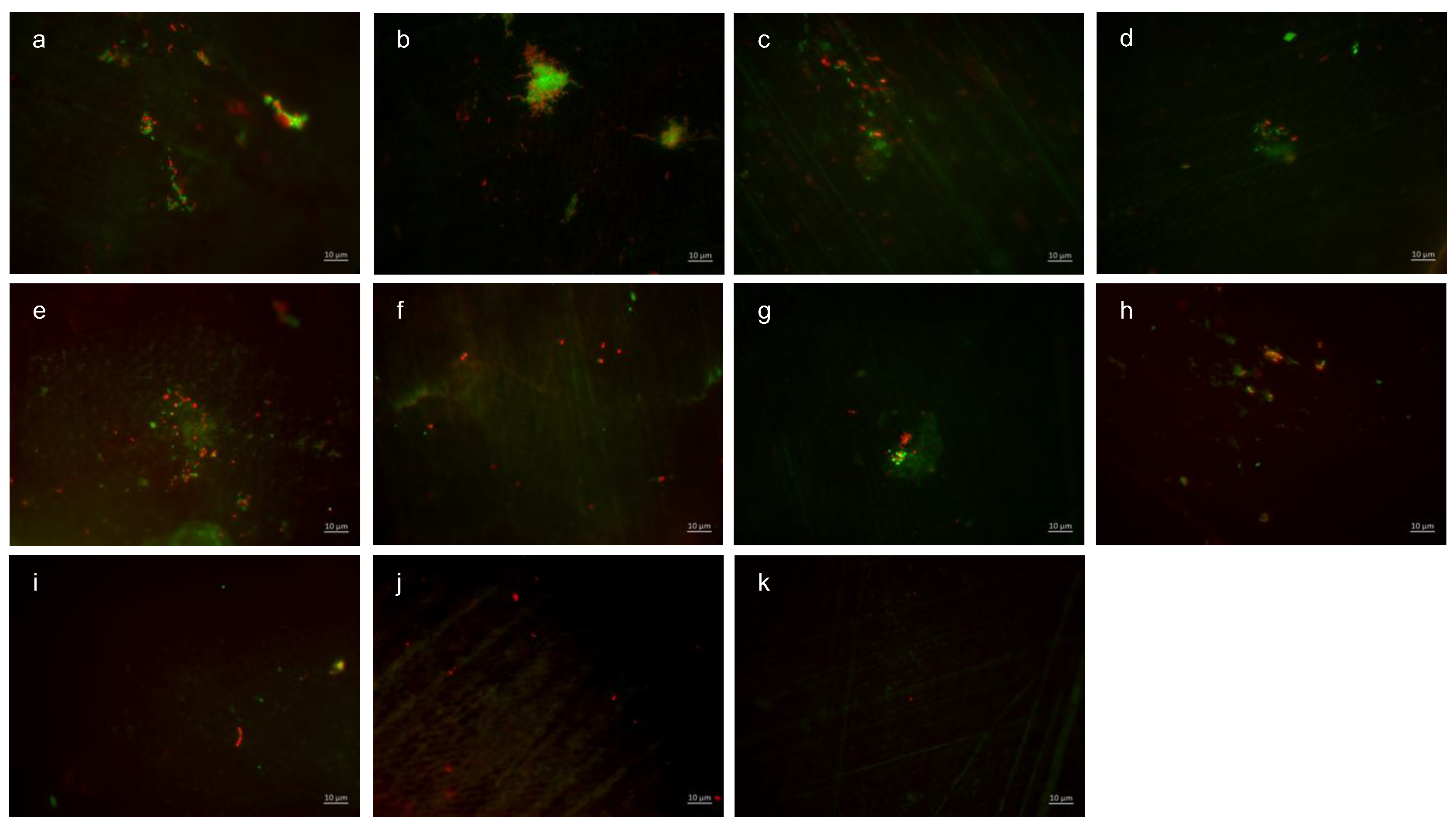 Dentistry 13 00442 g005 Dentistry 13 00442 g005