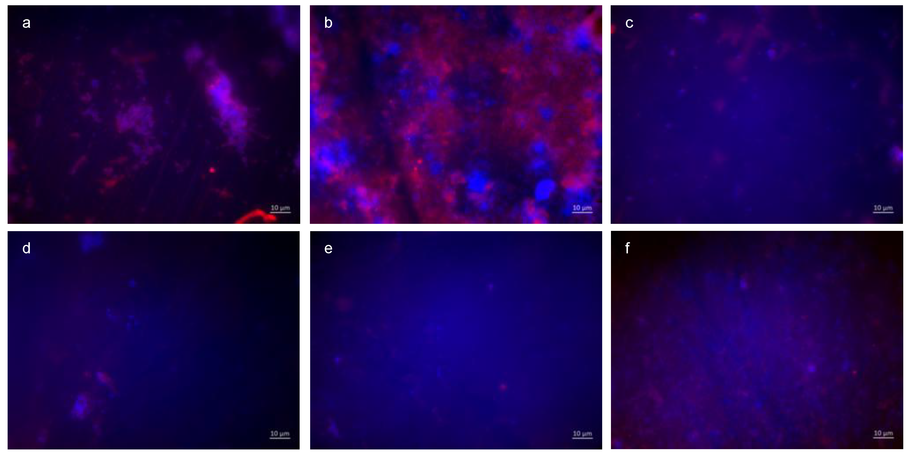 Dentistry 13 00442 g008 Dentistry 13 00442 g008