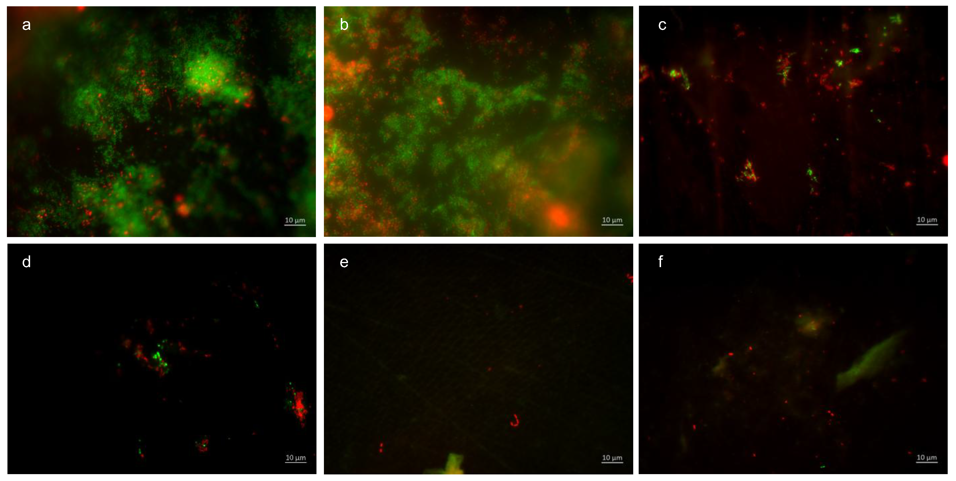 Dentistry 13 00442 g010 Dentistry 13 00442 g010