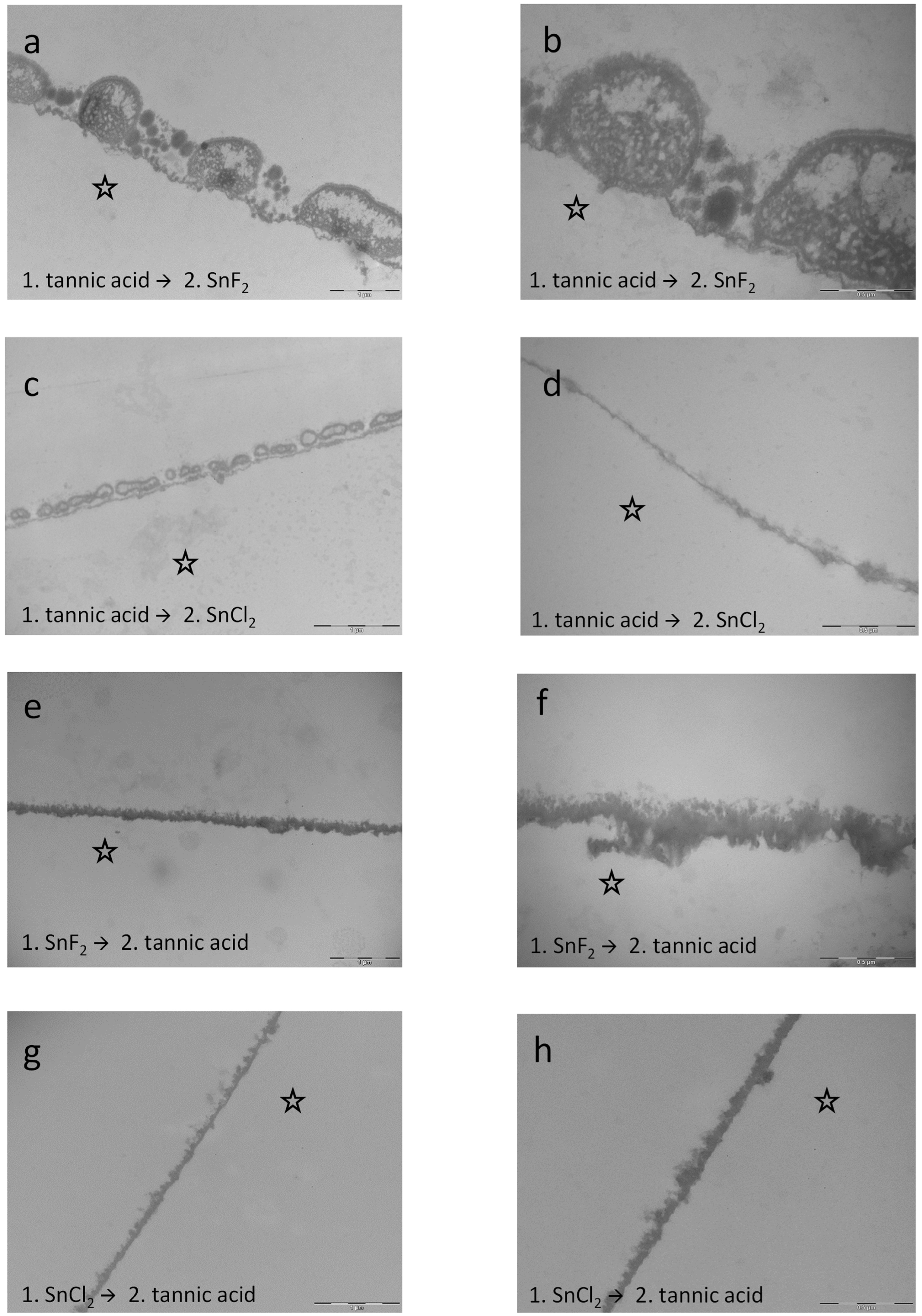 Dentistry 13 00442 g016 Dentistry 13 00442 g016