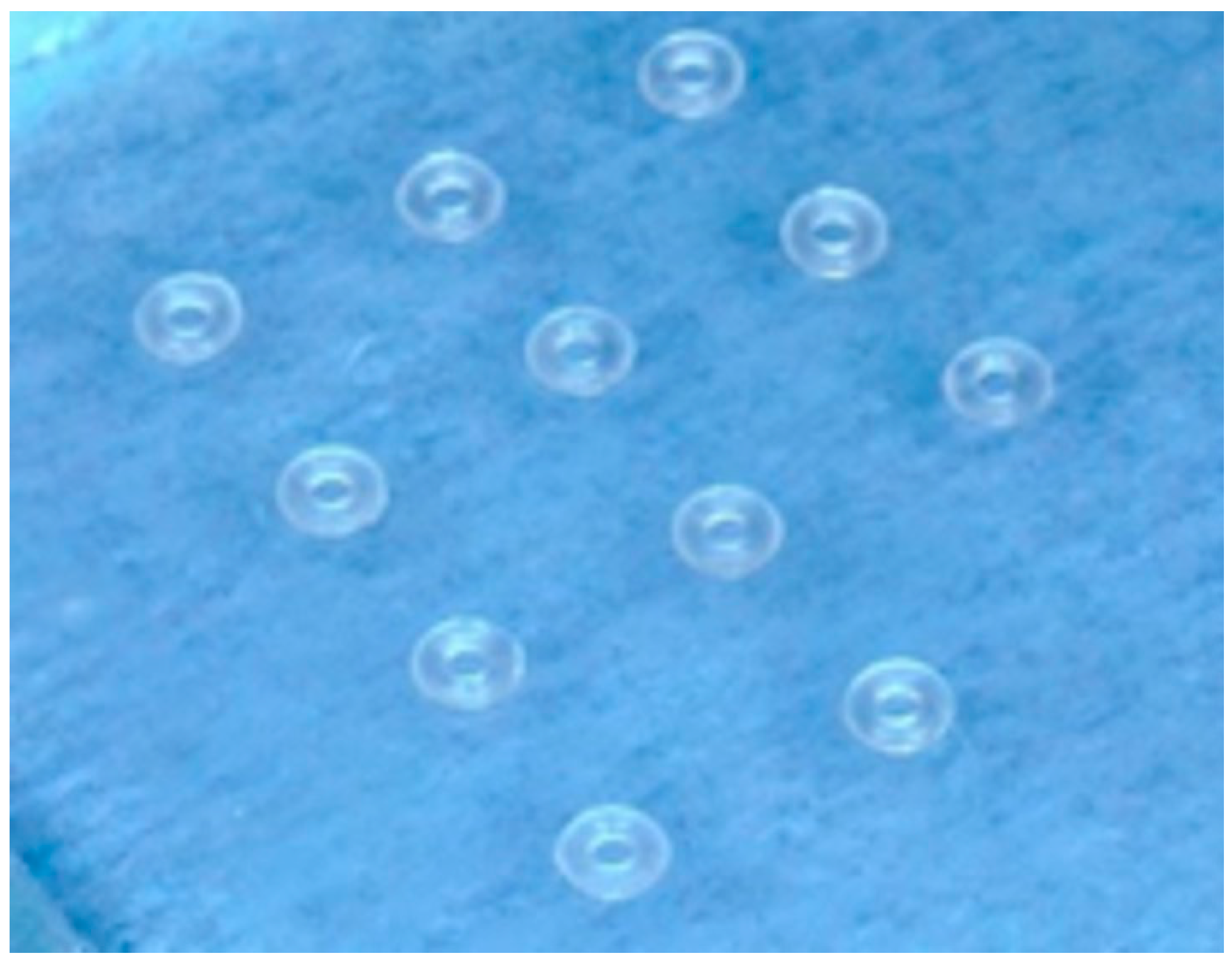 Dentistry 13 00447 g001