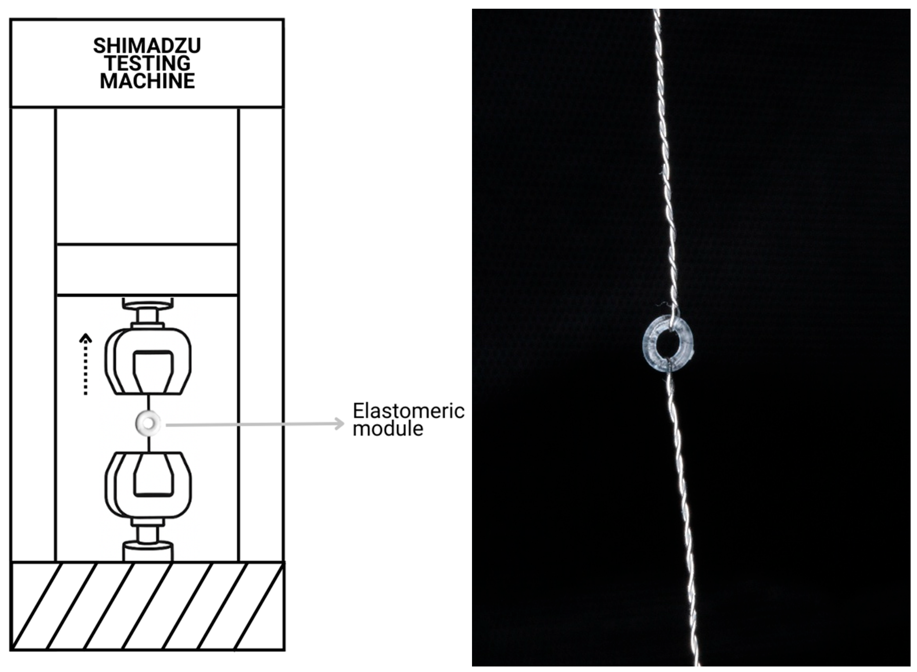 Dentistry 13 00447 g002